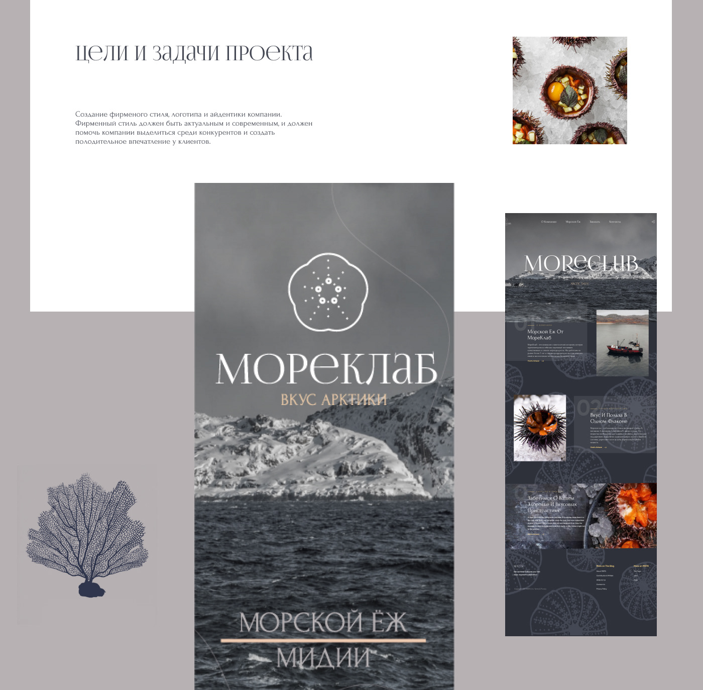 Moreclub — Изображение №4 — Брендинг, Маркетинг на Dprofile