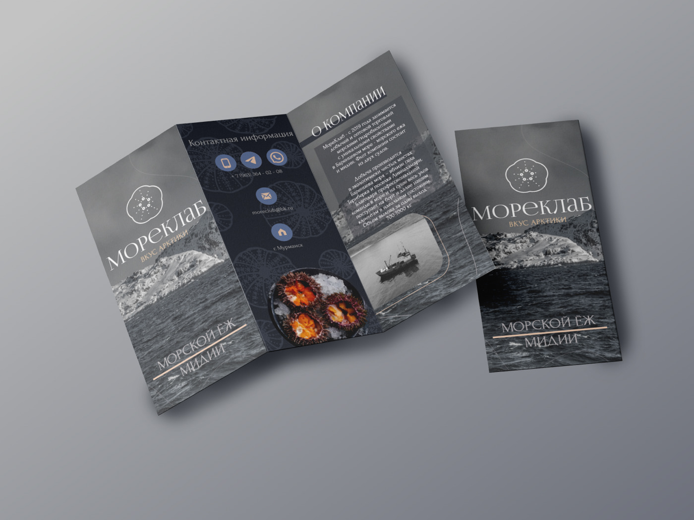 Moreclub — Изображение №9 — Брендинг, Маркетинг на Dprofile