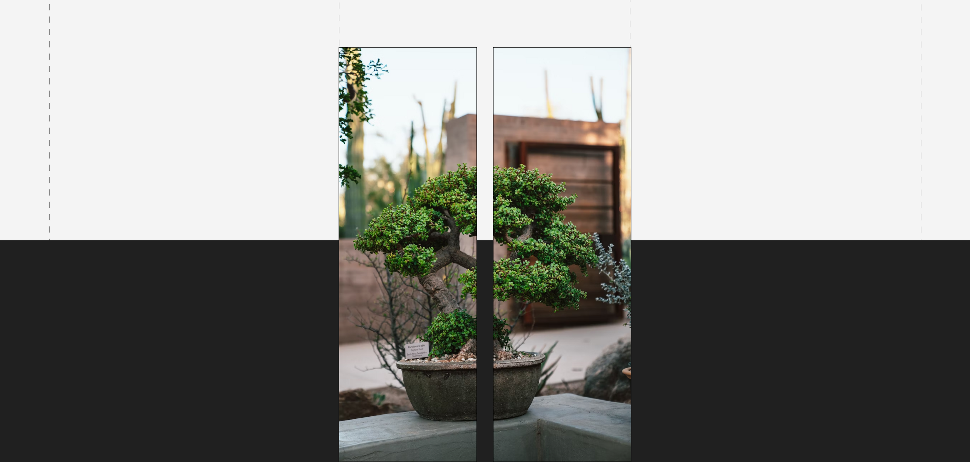 Дизайн веб-сайта для архитектурного бюро CREAA | UX/UI — Изображение №44 — Интерфейсы, Анимация на Dprofile