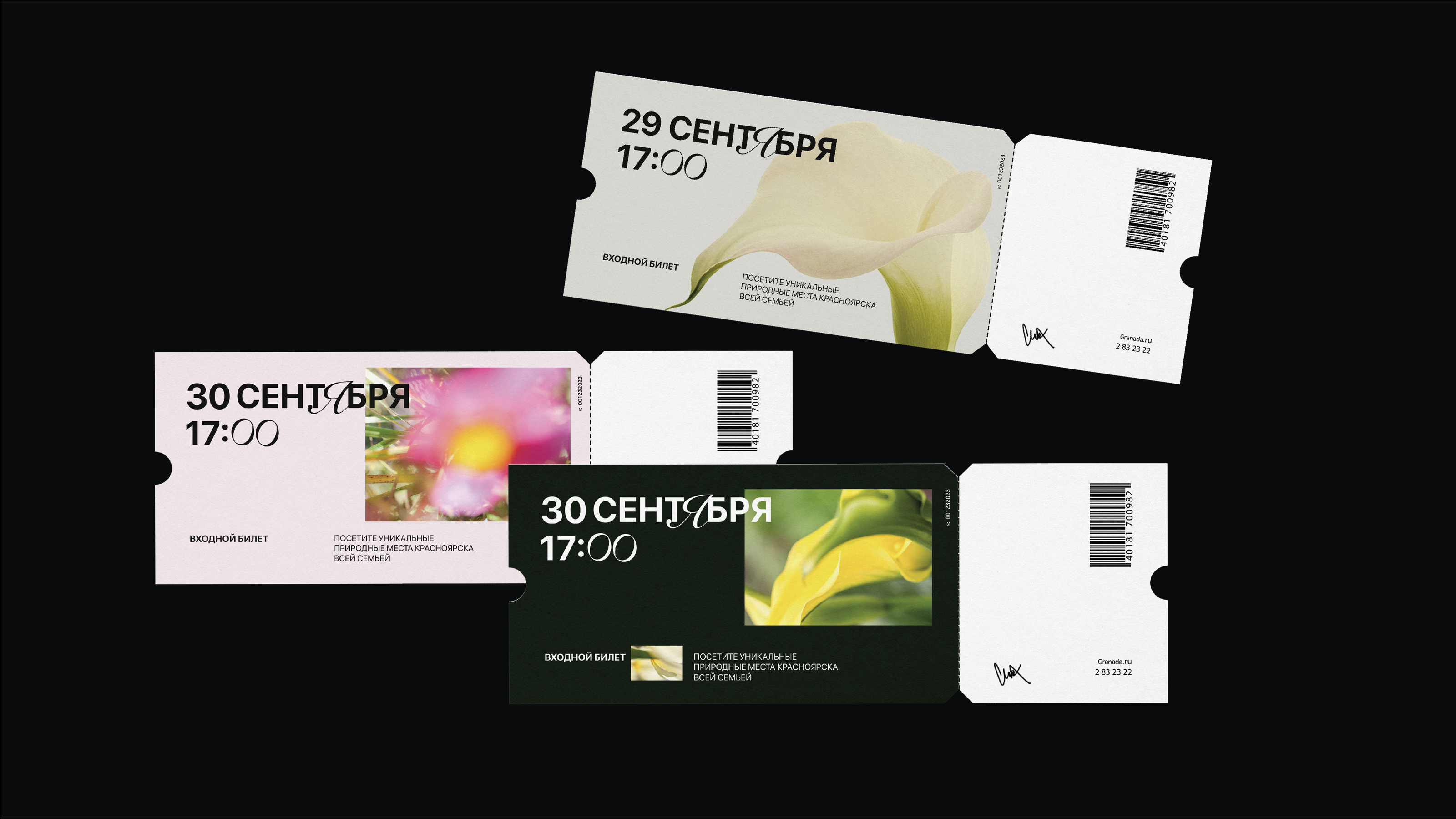 Брендинг для парка Гренада — Изображение №9 — Брендинг на Dprofile
