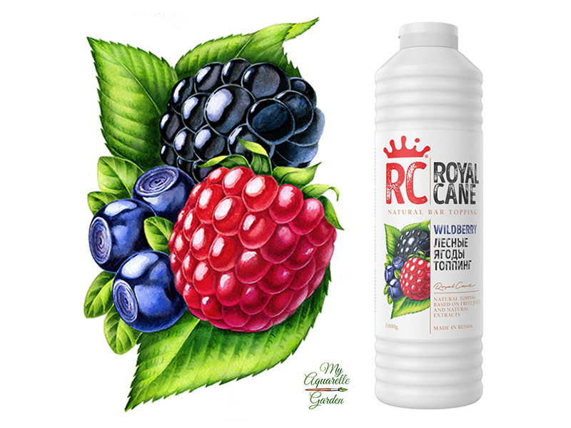 Watercolor illustrations for Royal Cane (Russia) — Изображение №2 — Брендинг, Иллюстрация на Dprofile