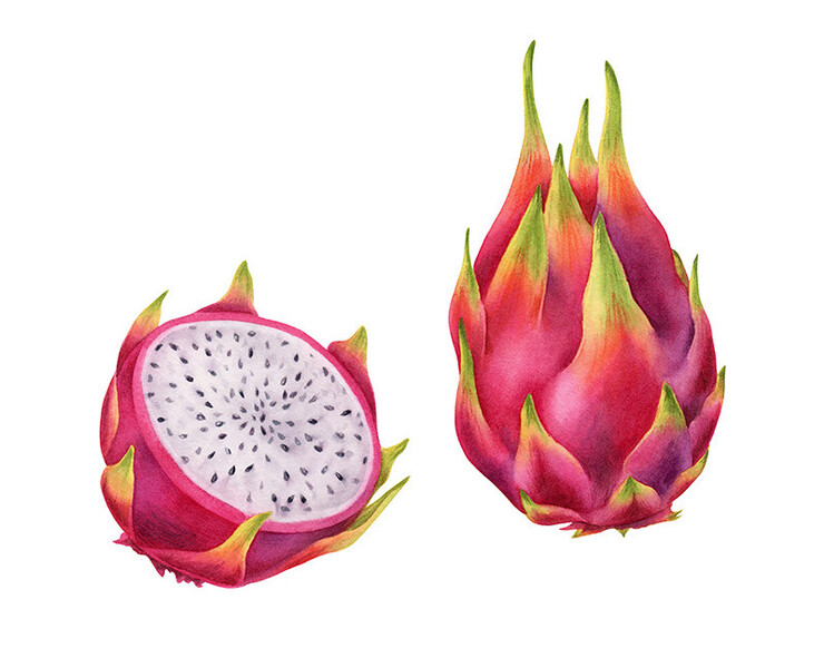 Illustrations for tea package / Herbaly.com на Dprofile