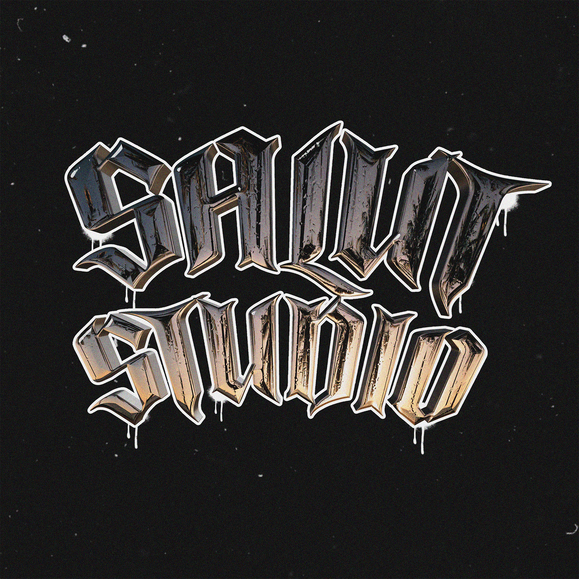 chrome letter std.slt — Изображение №1 — Брендинг на Dprofile