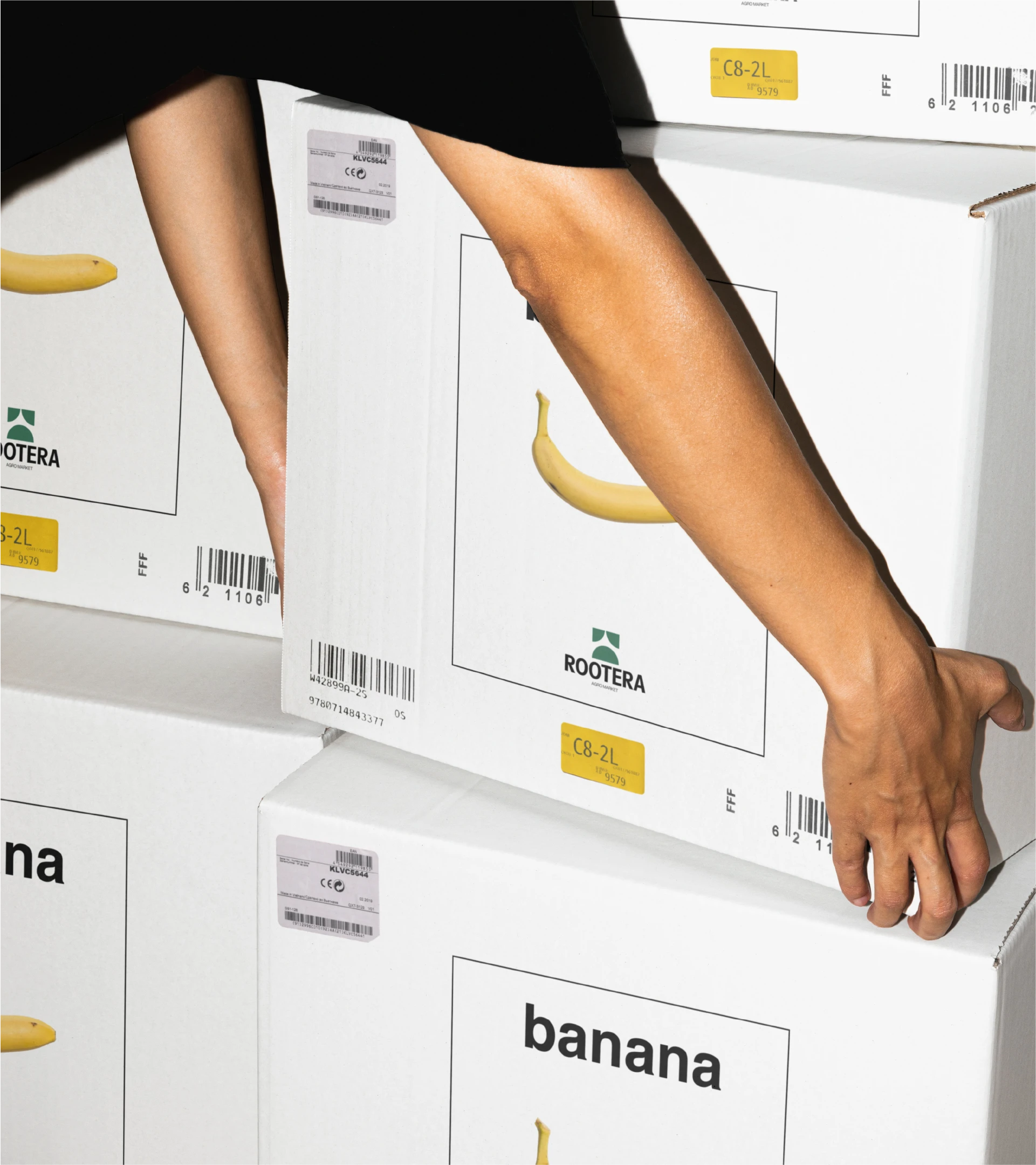 Rootera Agro Market — Изображение №6 — Брендинг, Графика на Dprofile