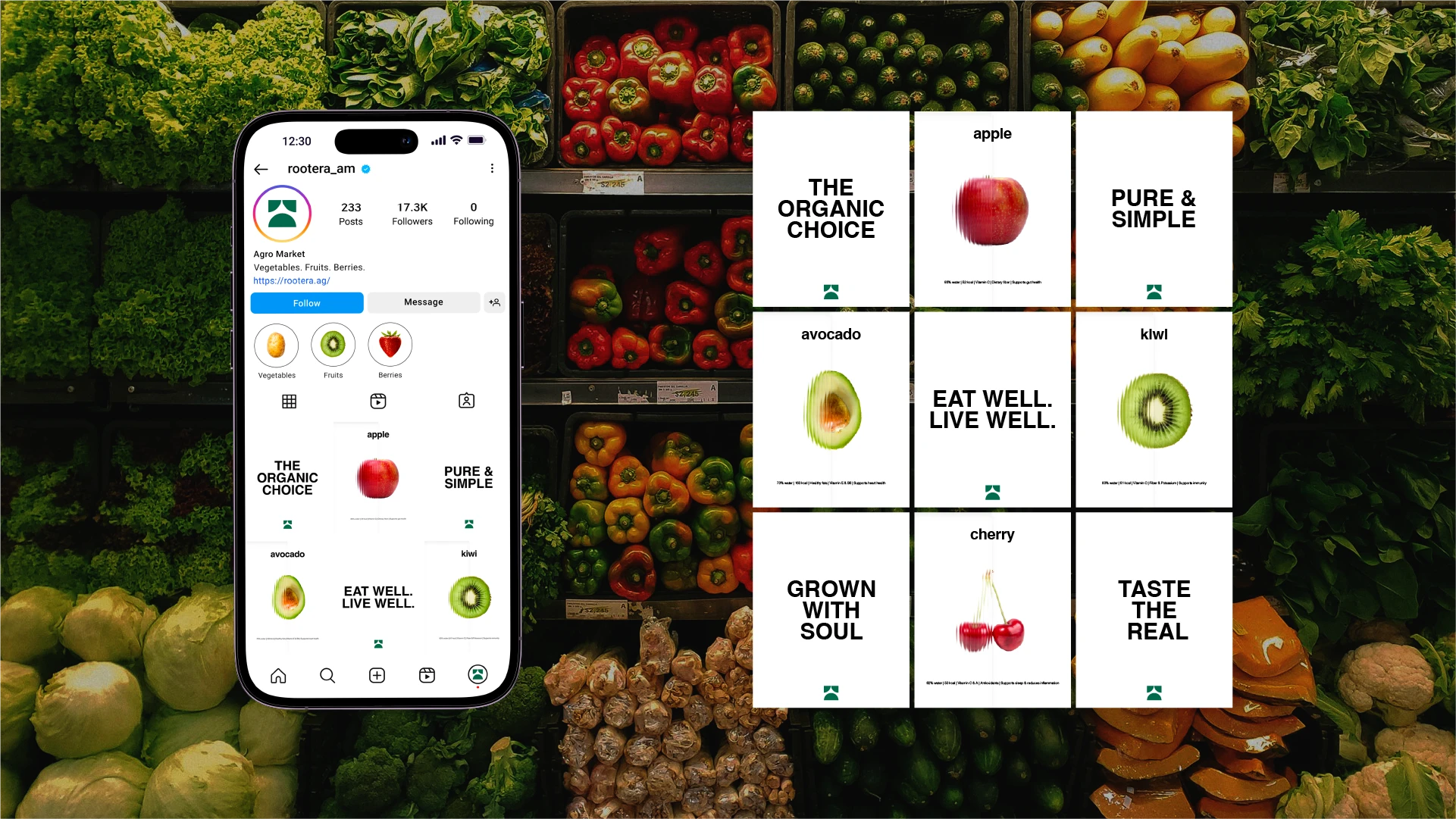 Rootera Agro Market — Изображение №14 — Брендинг, Графика на Dprofile