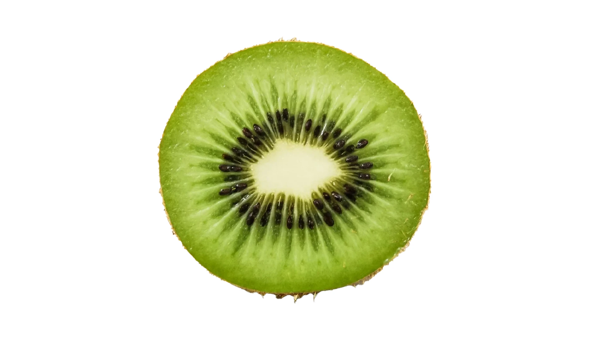 Rootera Agro Market — Изображение №4 — Брендинг, Графика на Dprofile