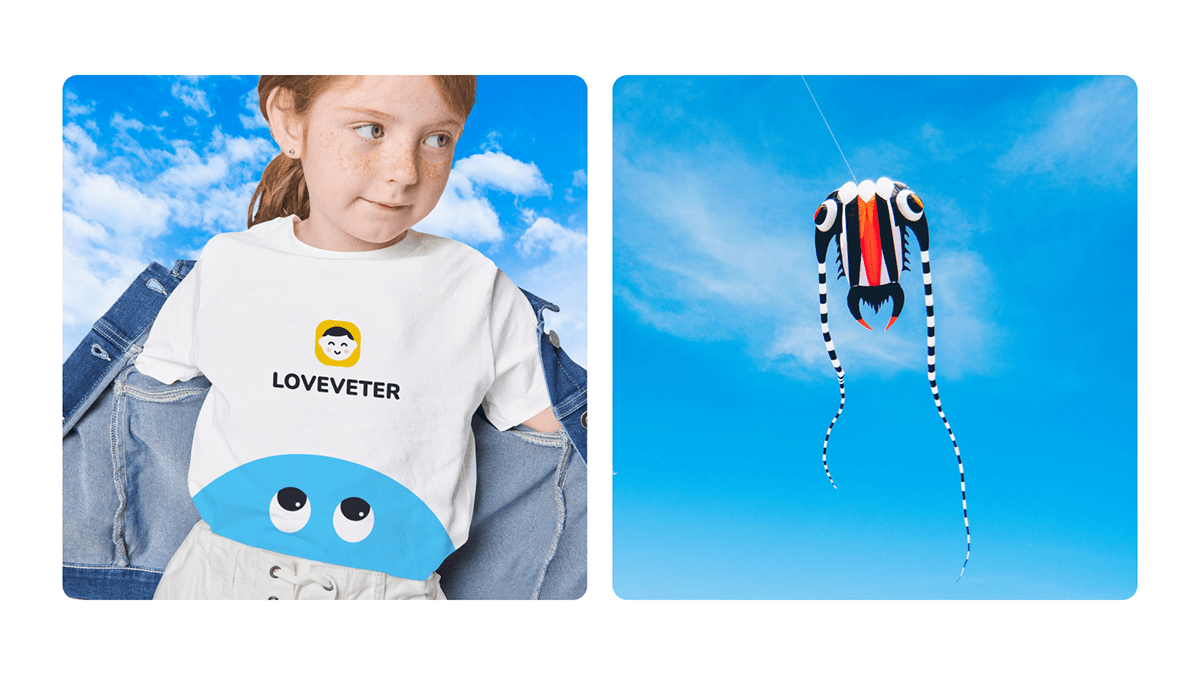 Фирменный стиль магазина воздушных змеев «Loveveter» — Изображение №8 — Брендинг на Dprofile