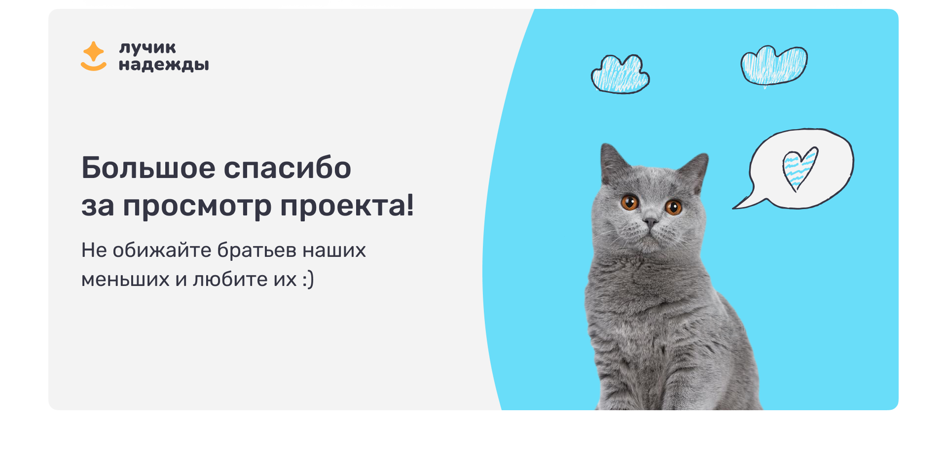 Айдентика приюта для животных «Лучик надежды» — Изображение №14 — Брендинг на Dprofile