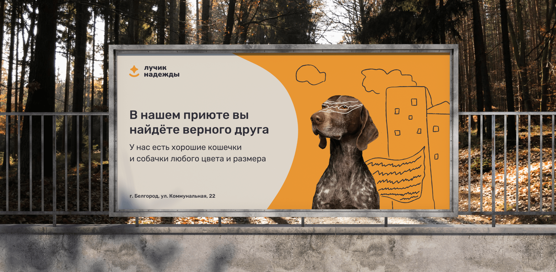 Айдентика приюта для животных «Лучик надежды» — Изображение №1 — Брендинг на Dprofile