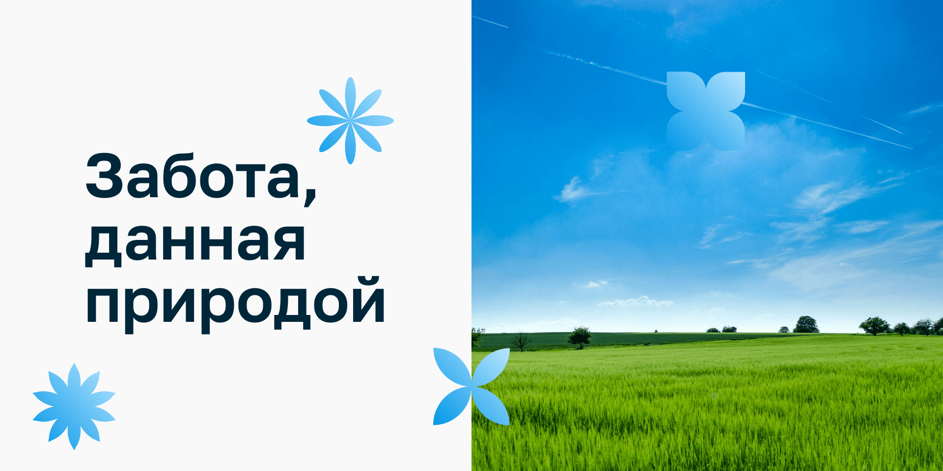 Айдентика косметики для гигиены полости рта «VEESMILE» — Изображение №4 — Брендинг на Dprofile