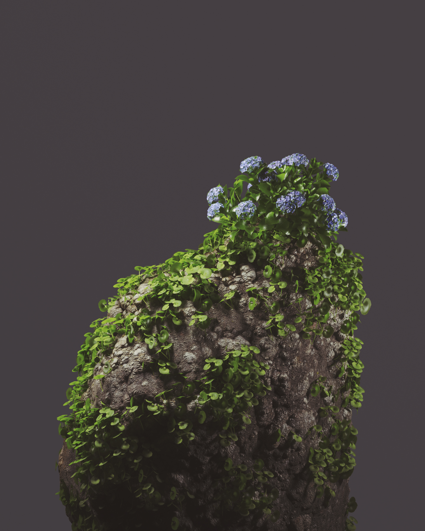 Rocks and Nature — Изображение №10 — 3D, Анимация на Dprofile
