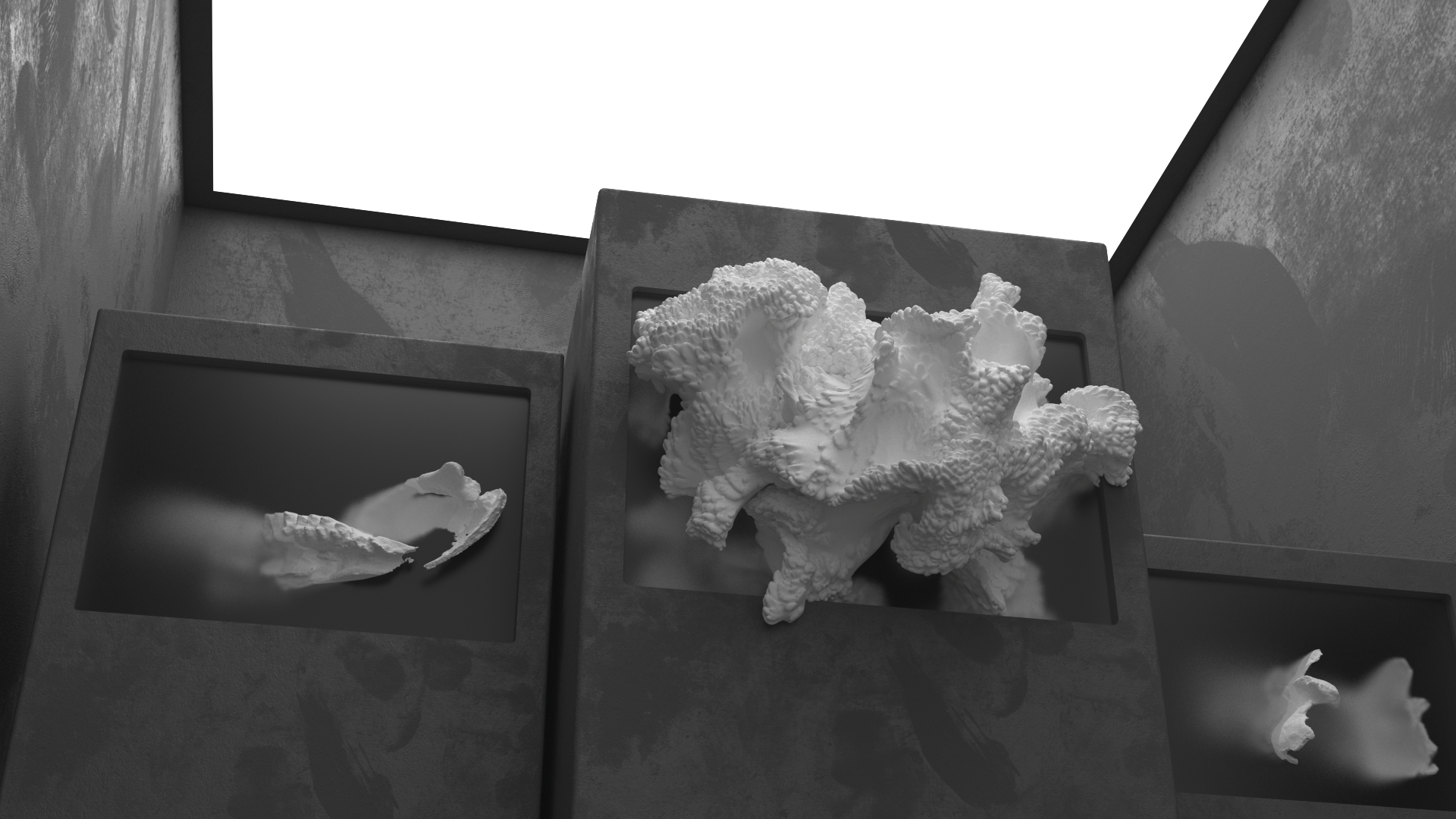 Coral installation — Изображение №2 — 3D, Анимация на Dprofile
