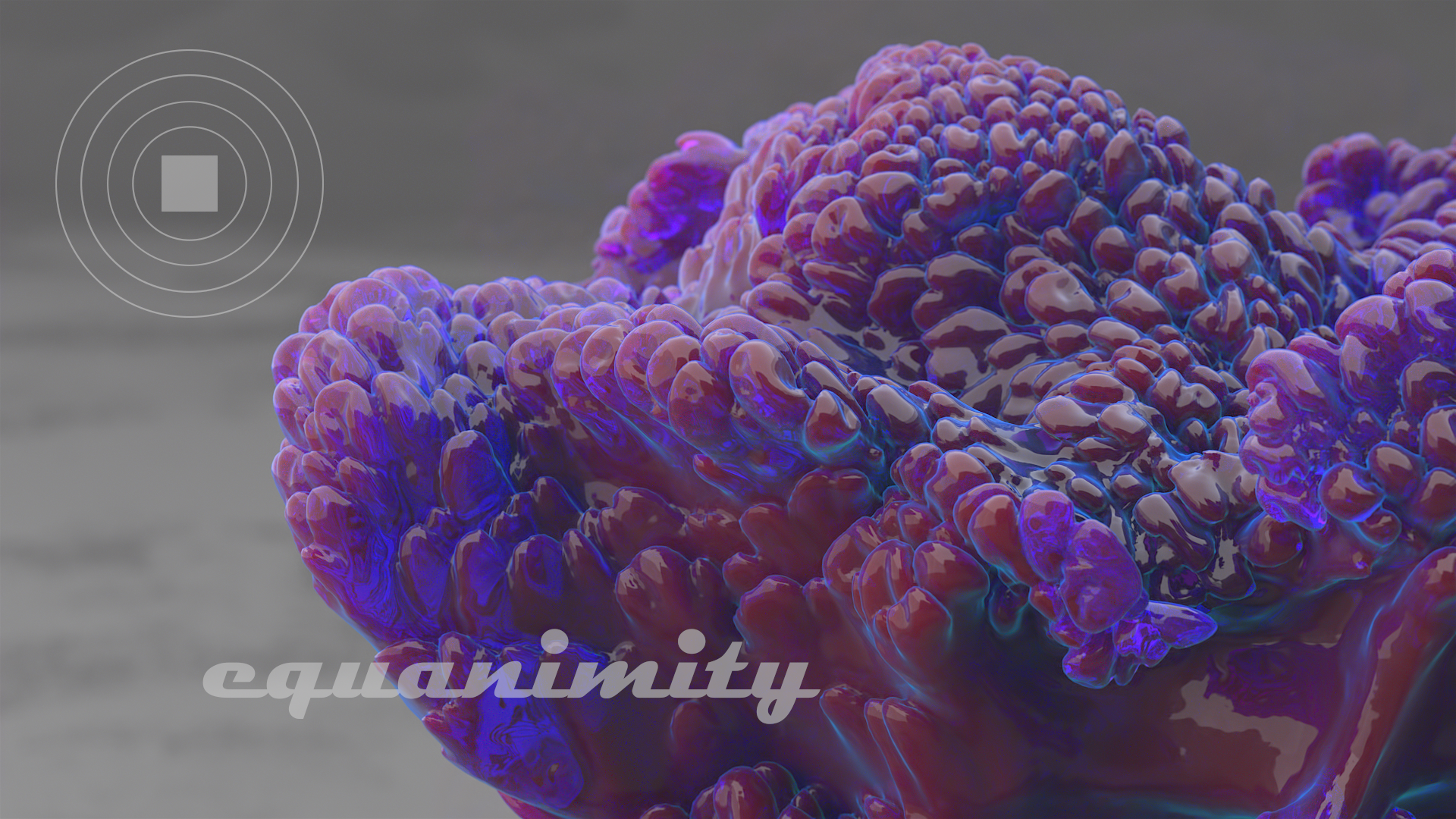 Coral installation — Изображение №10 — 3D, Анимация на Dprofile