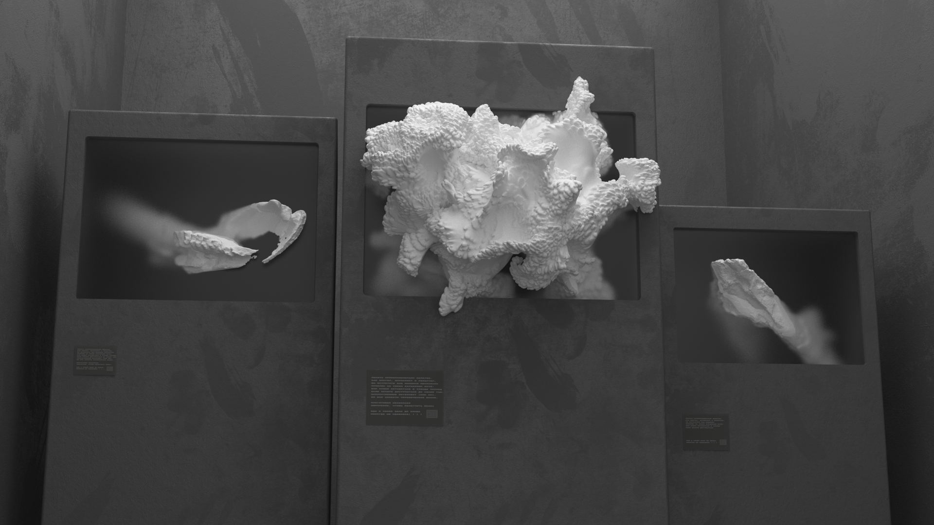 Coral installation — Изображение №4 — 3D, Анимация на Dprofile