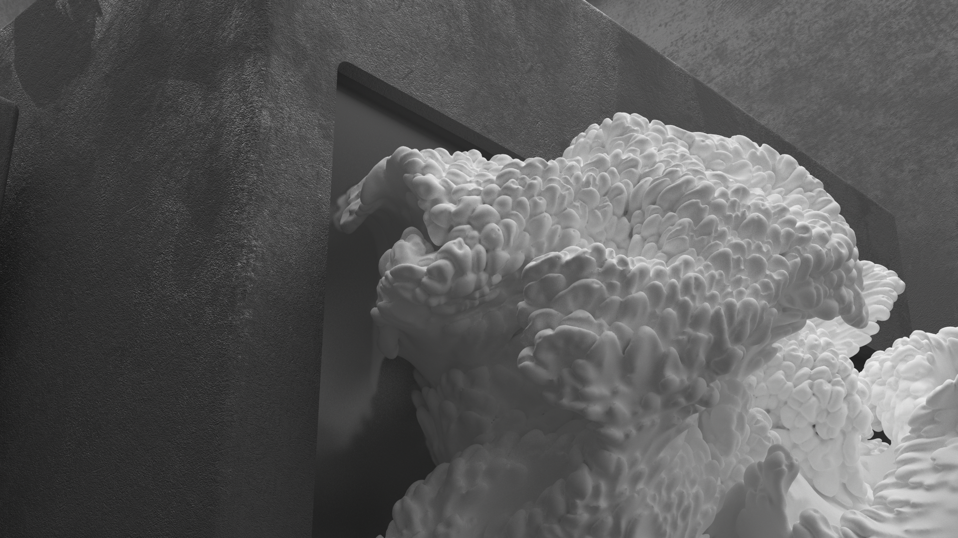 Coral installation — Изображение №1 — 3D, Анимация на Dprofile