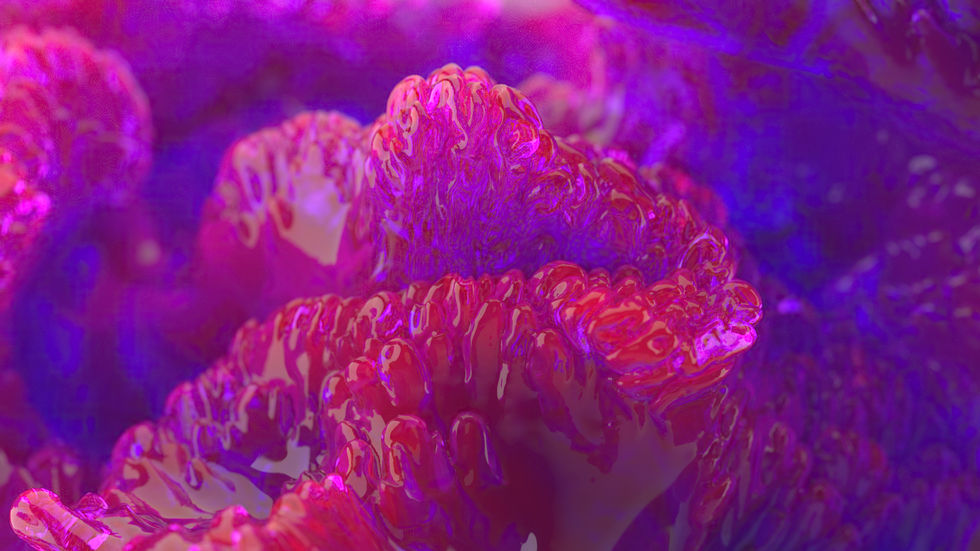 Coral installation — Изображение №14 — 3D, Анимация на Dprofile