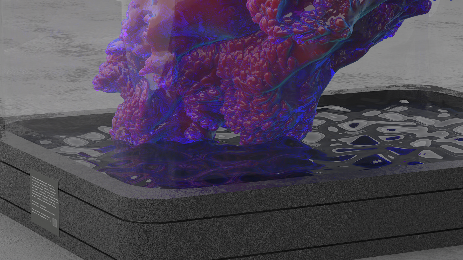 Coral installation — Изображение №9 — 3D, Анимация на Dprofile