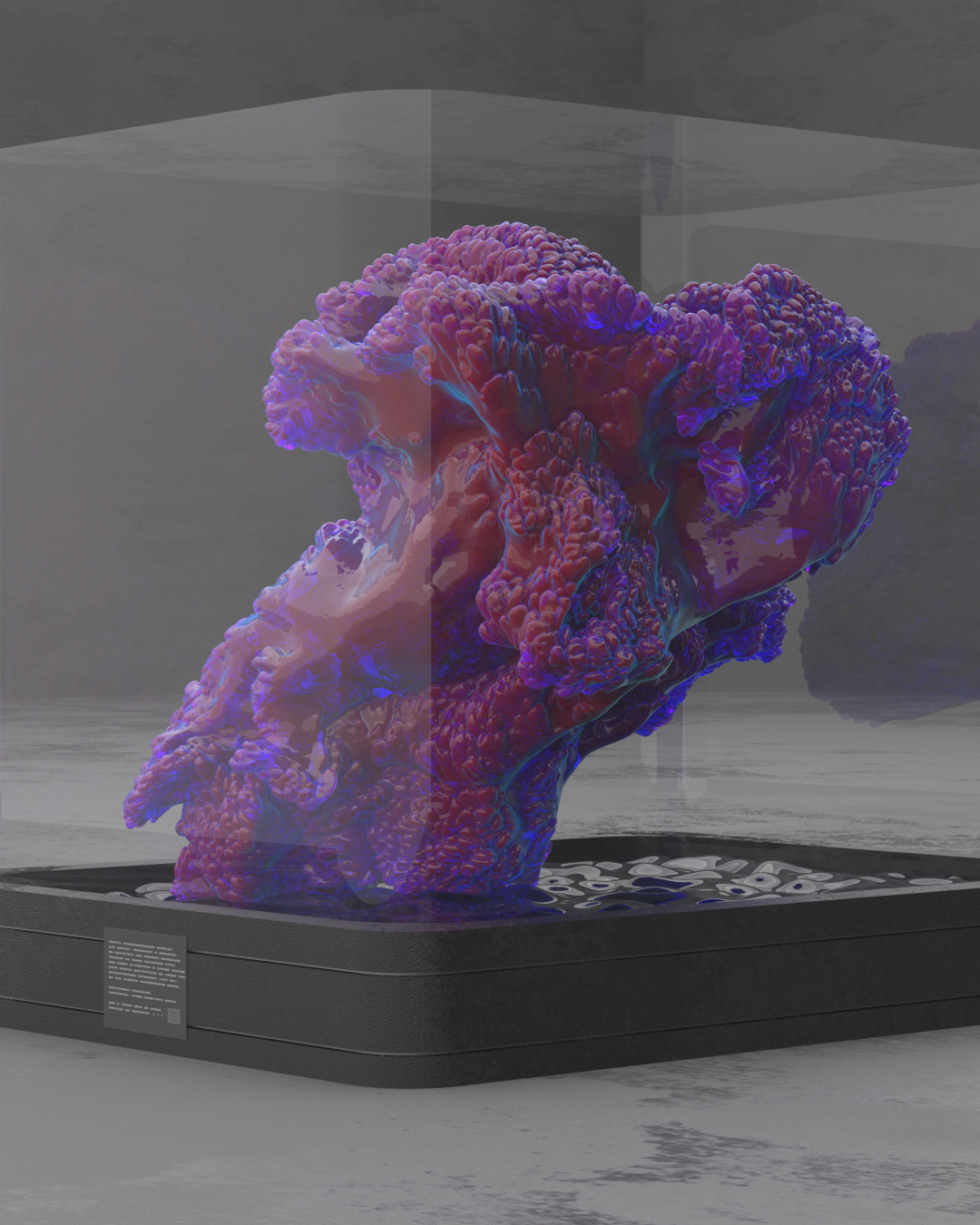 Coral installation — Изображение №7 — 3D, Анимация на Dprofile