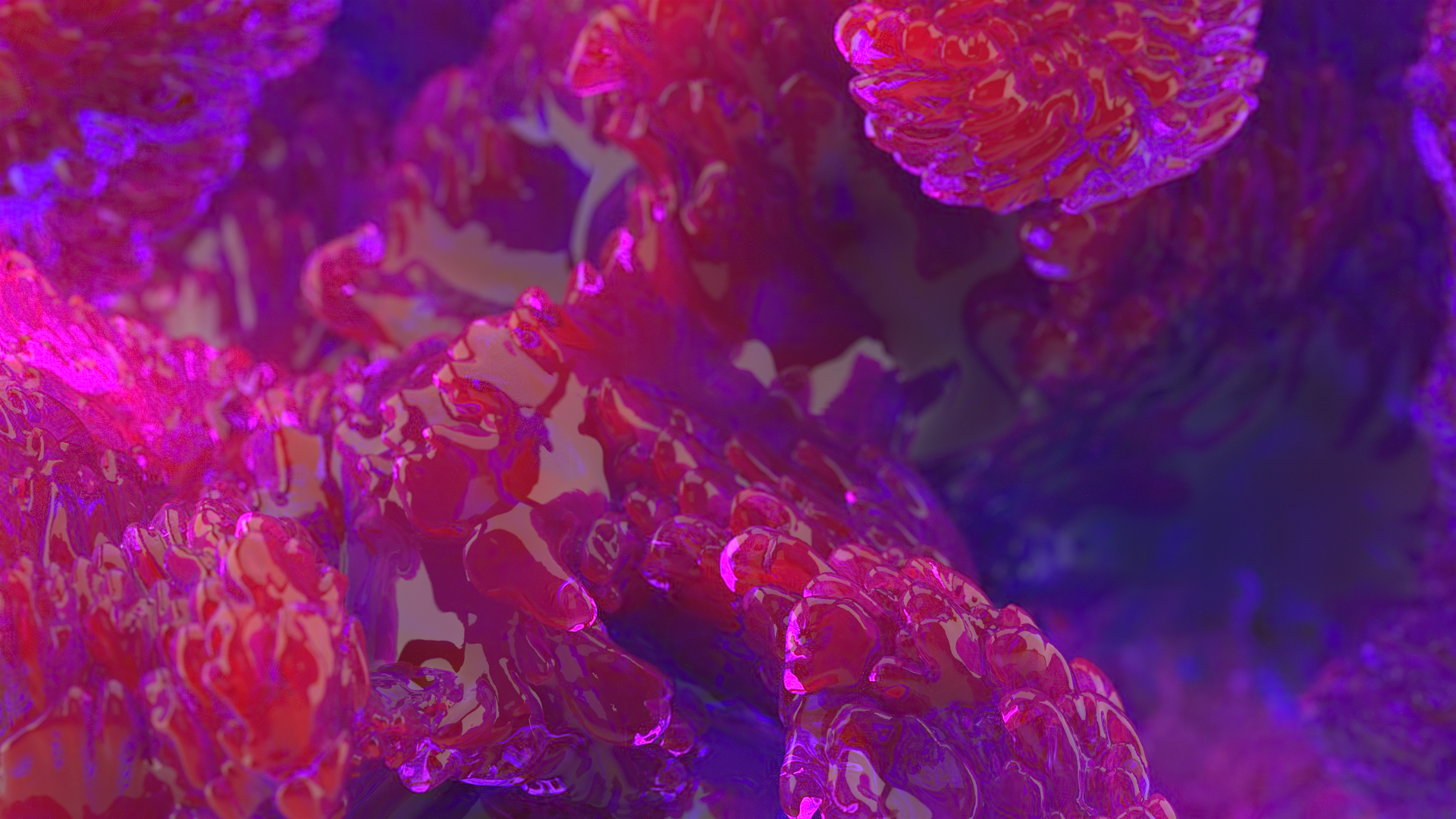 Coral installation — Изображение №13 — 3D, Анимация на Dprofile