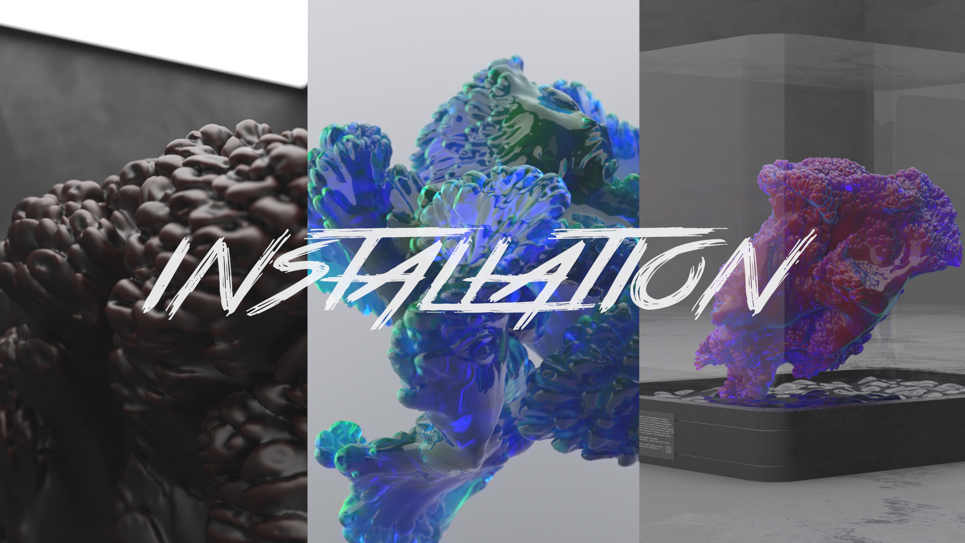 Coral installation — Изображение №15 — 3D, Анимация на Dprofile