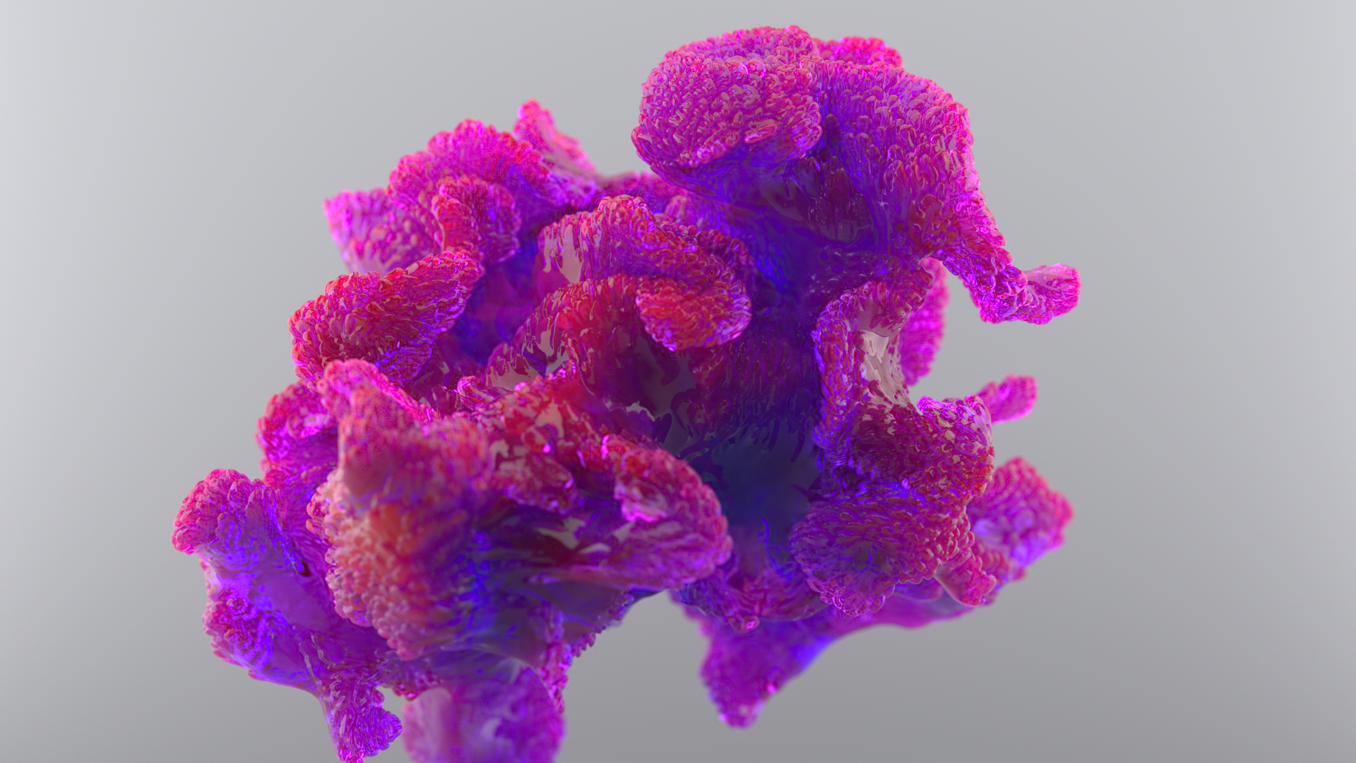 Coral installation — Изображение №12 — 3D, Анимация на Dprofile