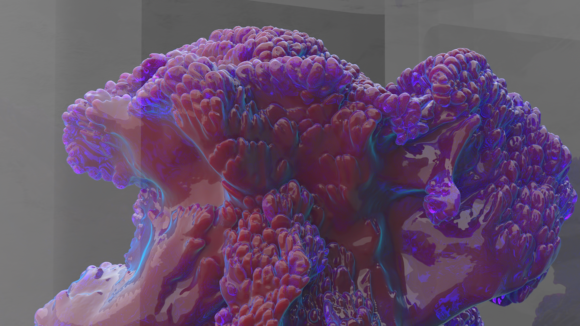 Coral installation — Изображение №8 — 3D, Анимация на Dprofile