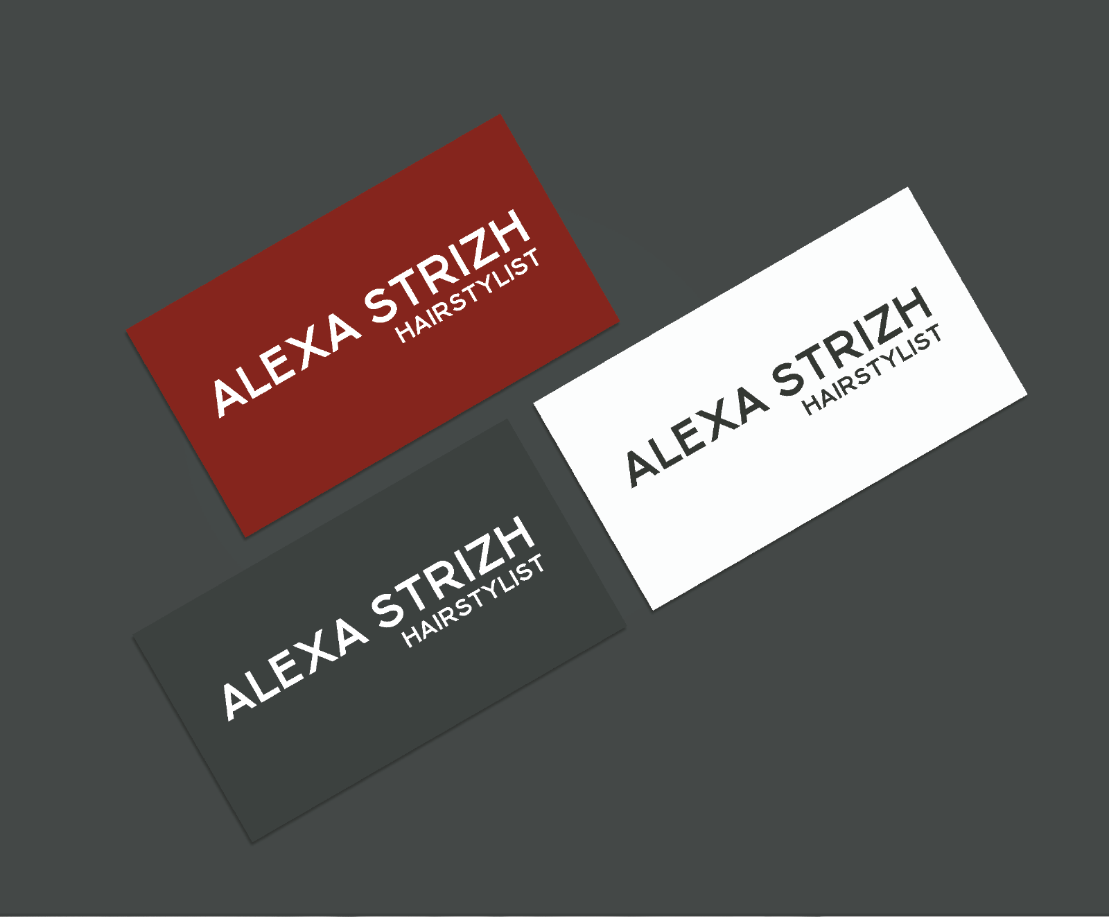 Логотип для парикмахера-стилиста — Изображение №6 — Брендинг на Dprofile