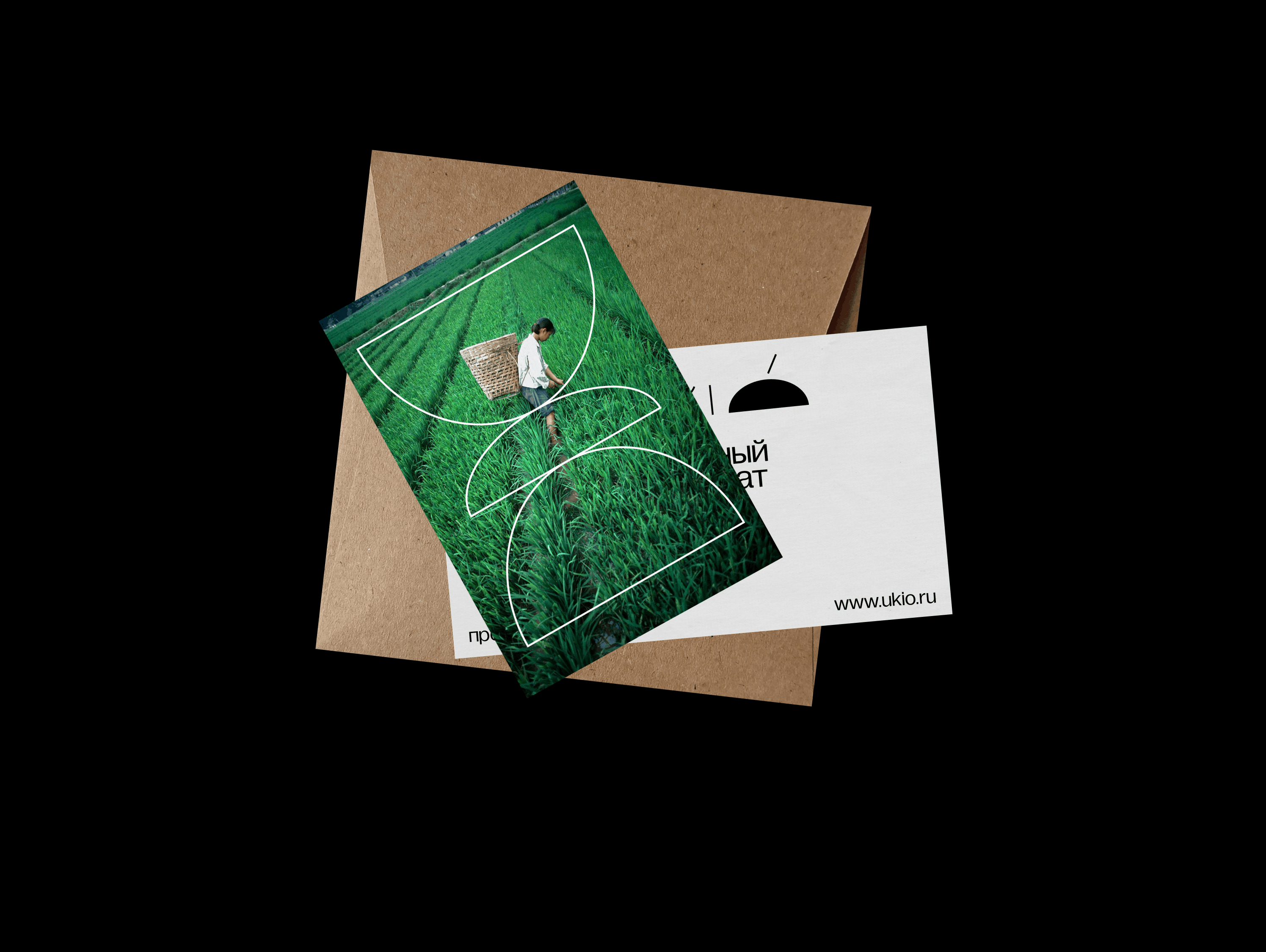 UKIO branding for oils — Изображение №3 — Брендинг, Графика на Dprofile