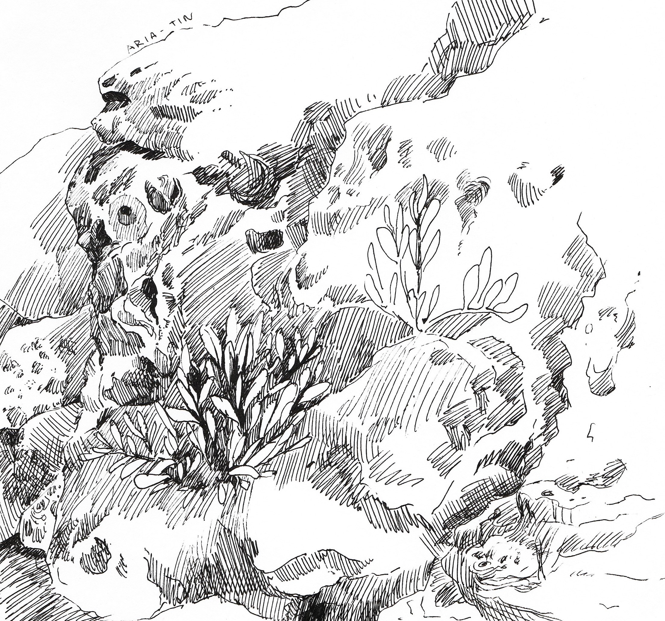 Серия черно-белых зарисовок пейзажей — Изображение №2 — Иллюстрация, Графика на Dprofile