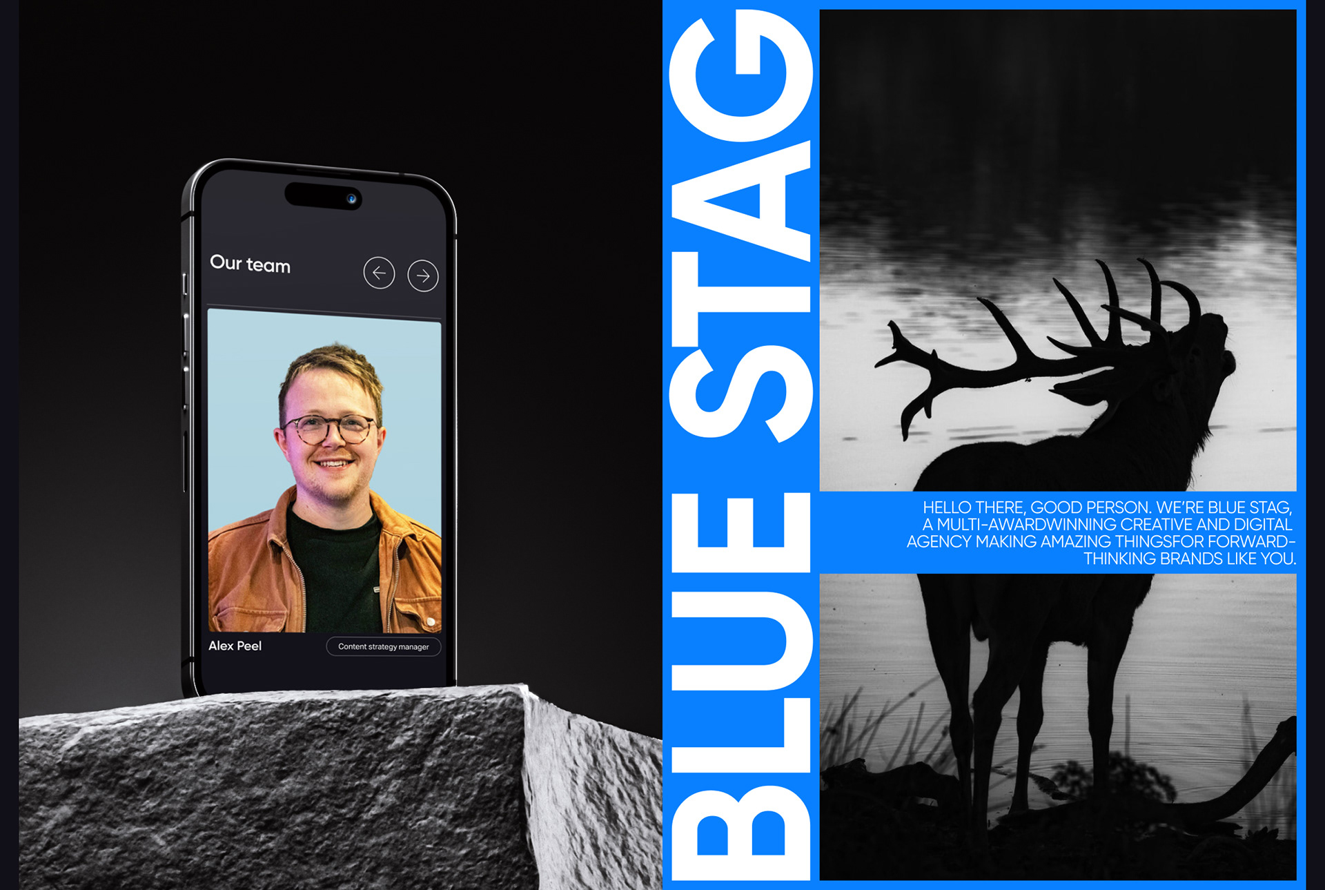 Blue Stag | digital agency redesign — Изображение №11 — Интерфейсы на Dprofile