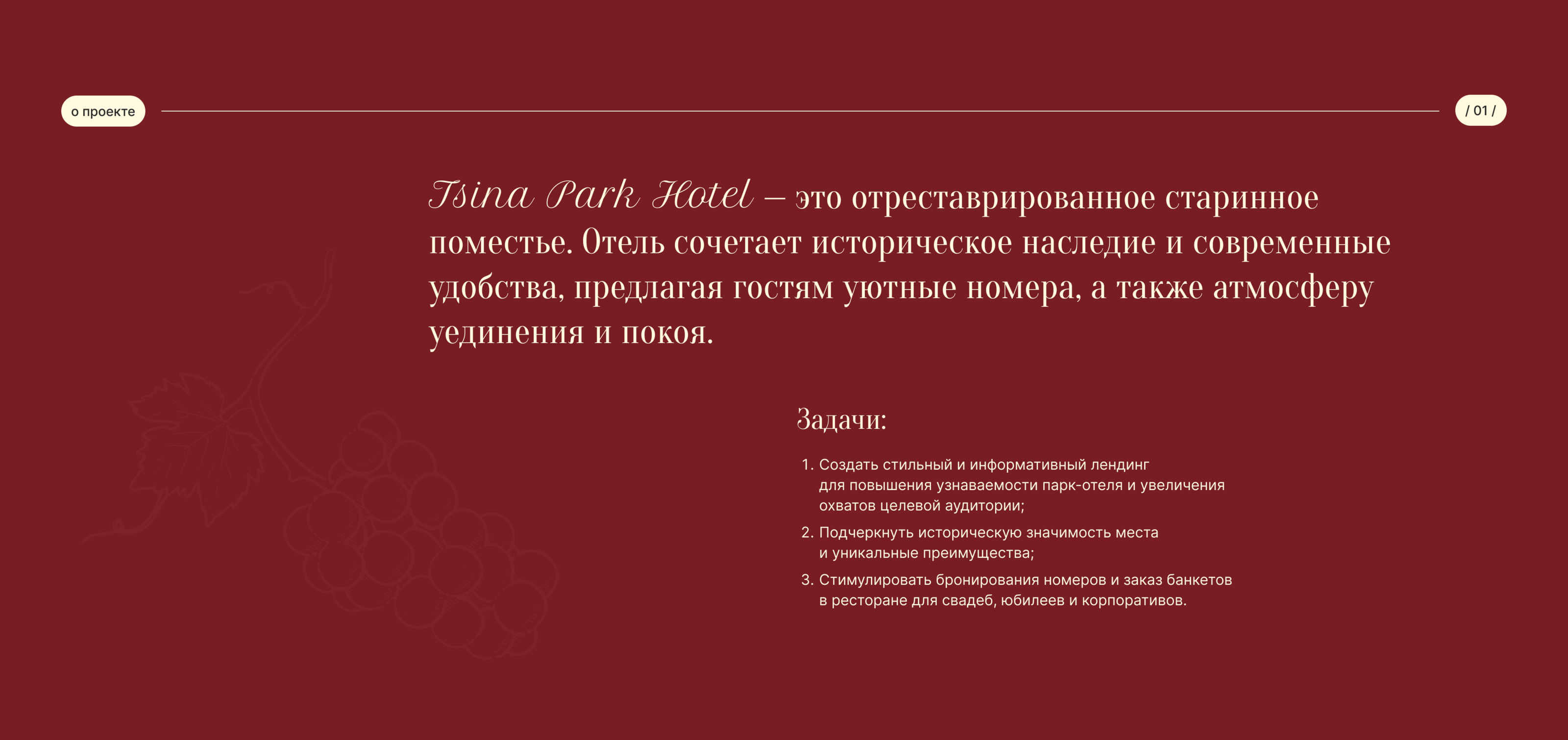 Сайт для Tsina Park Hotel — Изображение №2 — Интерфейсы на Dprofile