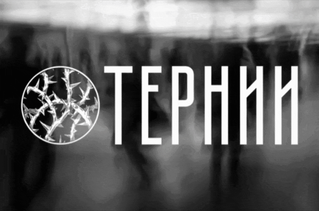 "ТЕРНИИ" — Изображение №9 — Брендинг, Графика на Dprofile