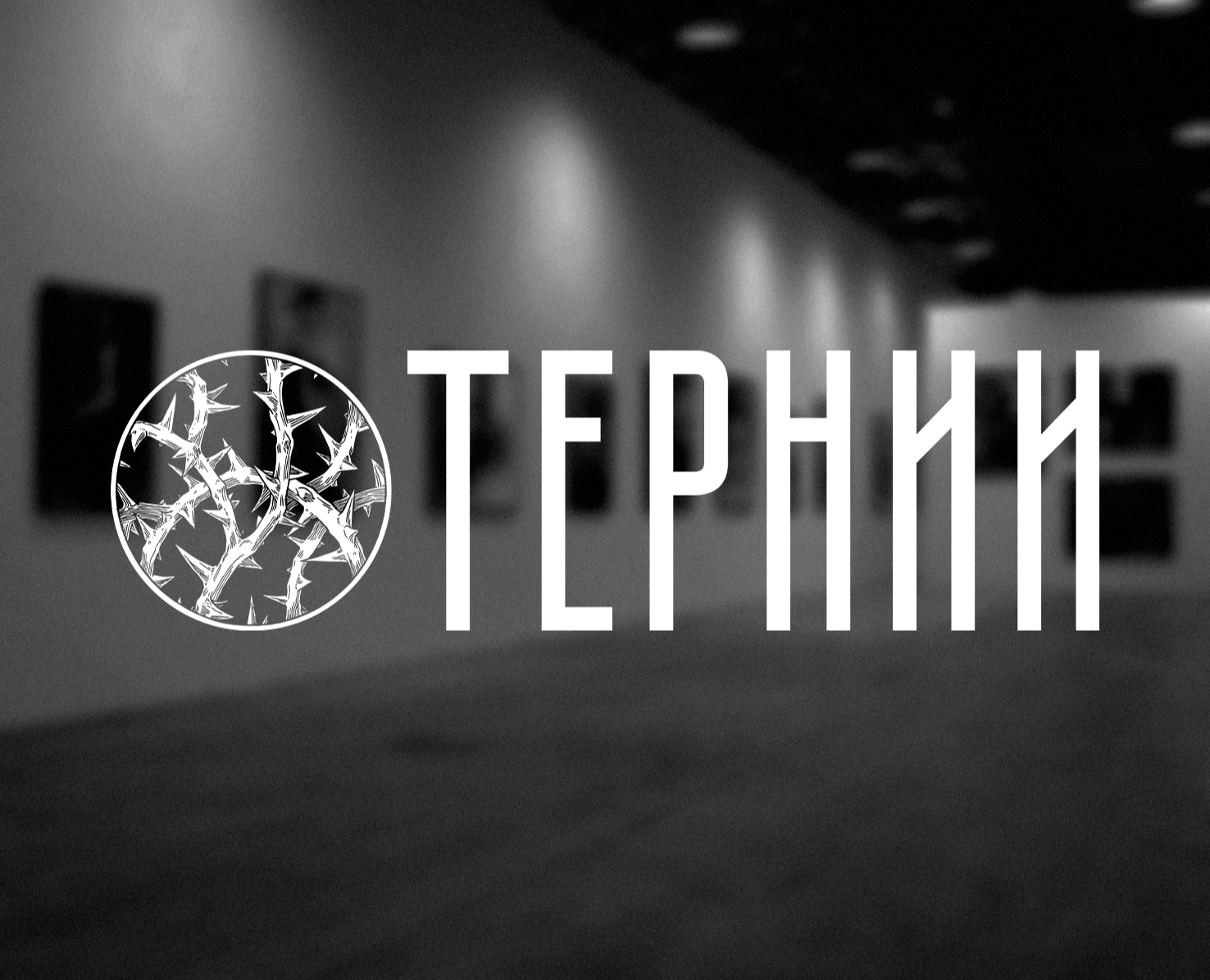 "ТЕРНИИ" — Брендинг, Графика на Dprofile