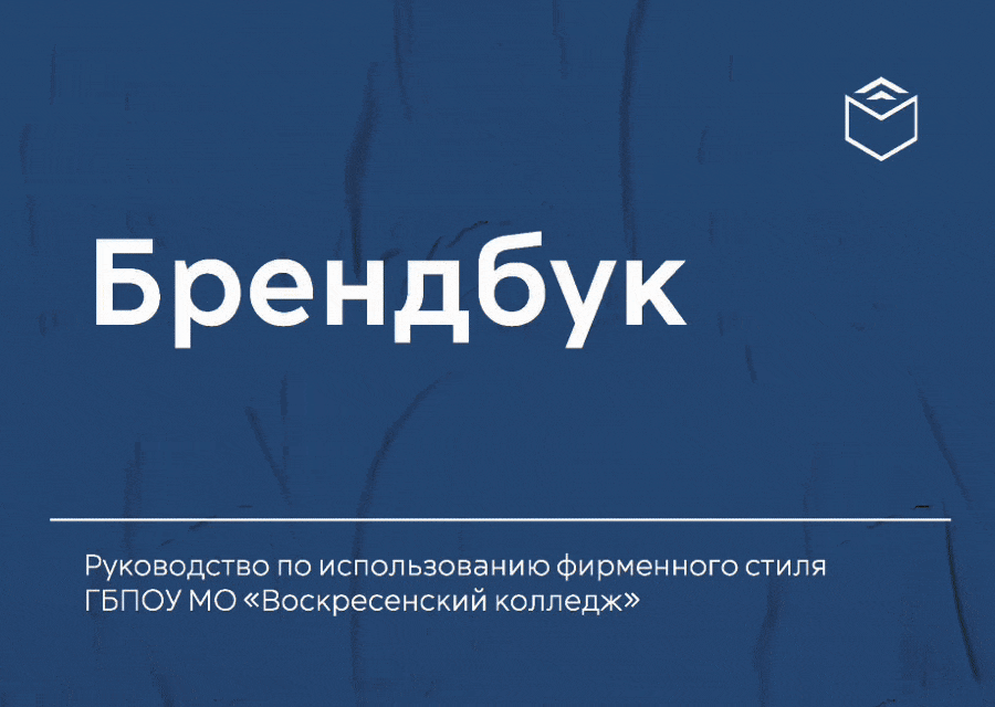 Брендбук для ГБПОУ МО "Воскресенский колледж" — Изображение №2 — Брендинг, Графика на Dprofile