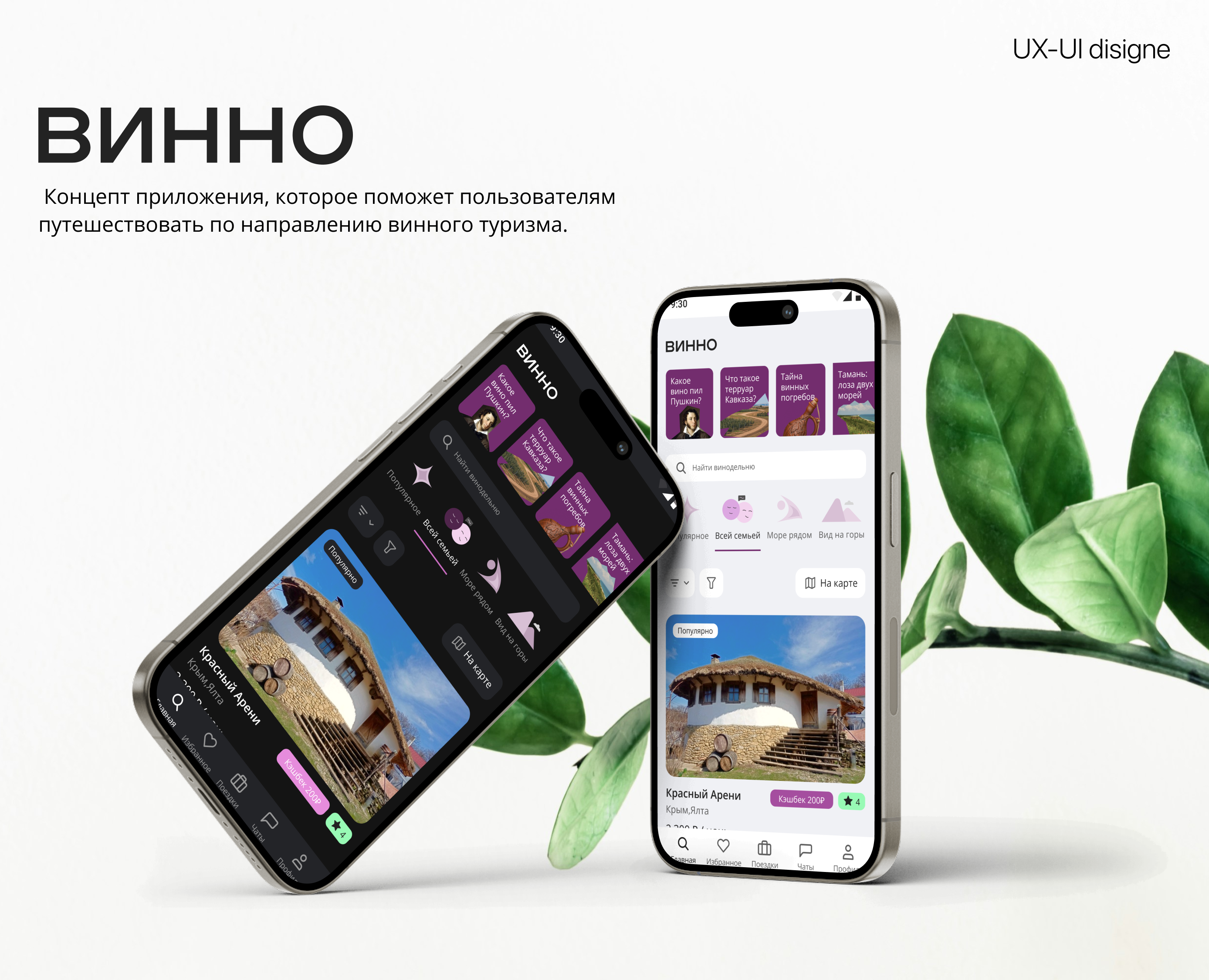 Приложение для винного туризма — Интерфейсы на Dprofile