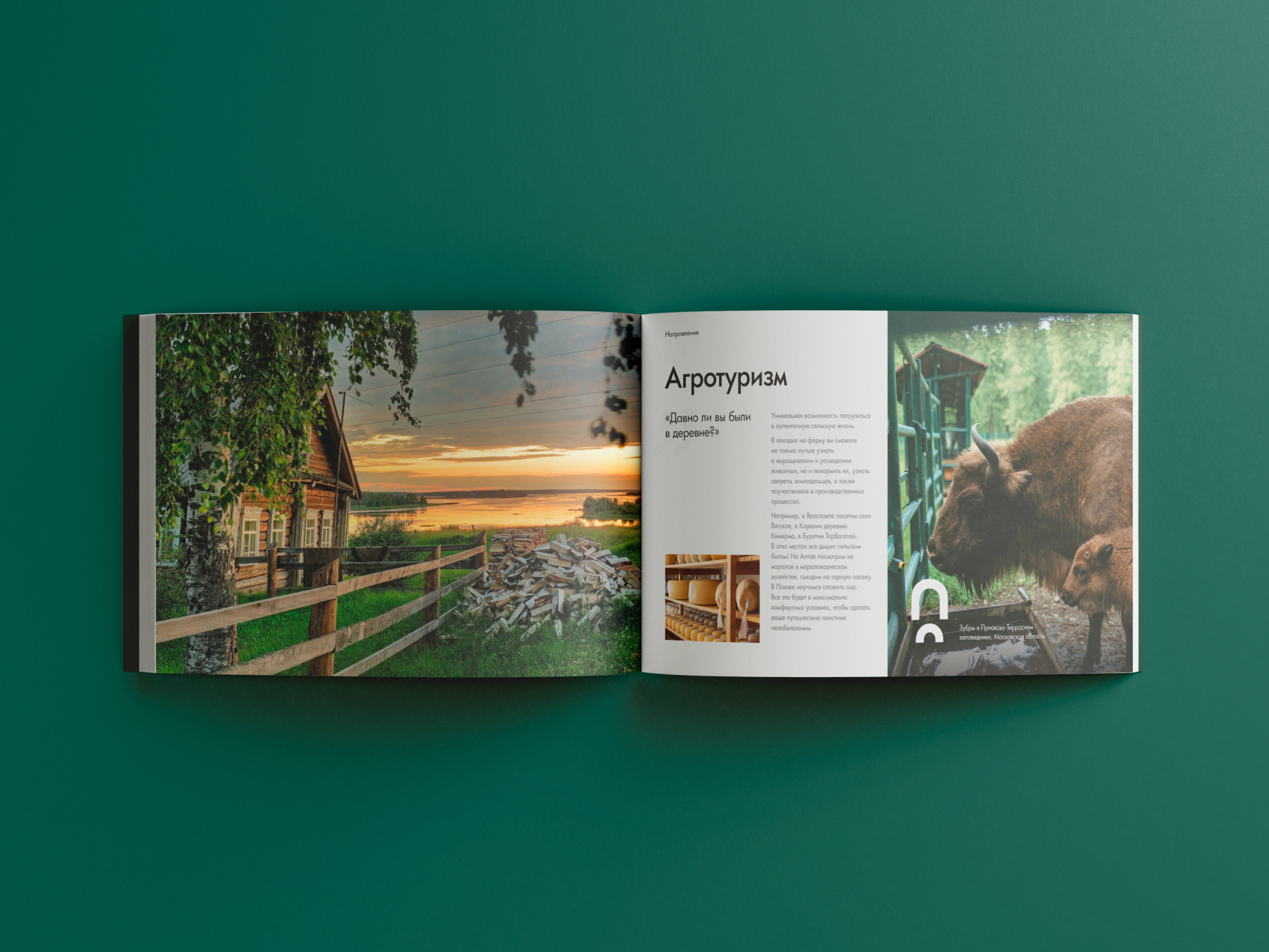 MOMENTOUR | Marketing-kit — Изображение №18 — Брендинг, Маркетинг на Dprofile