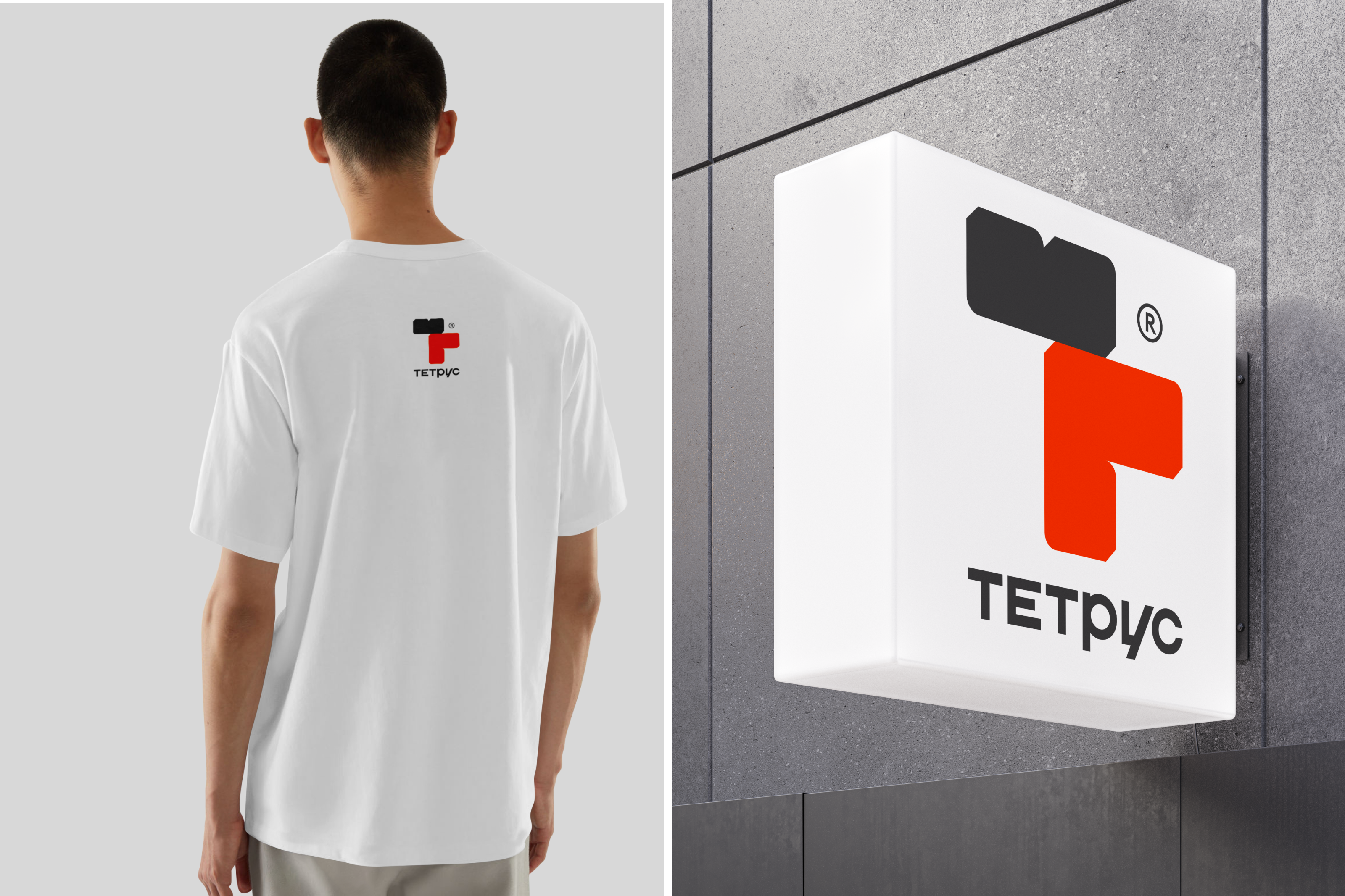 Разработка логотипа  для компании Тетрус — Изображение №11 — Брендинг на Dprofile
