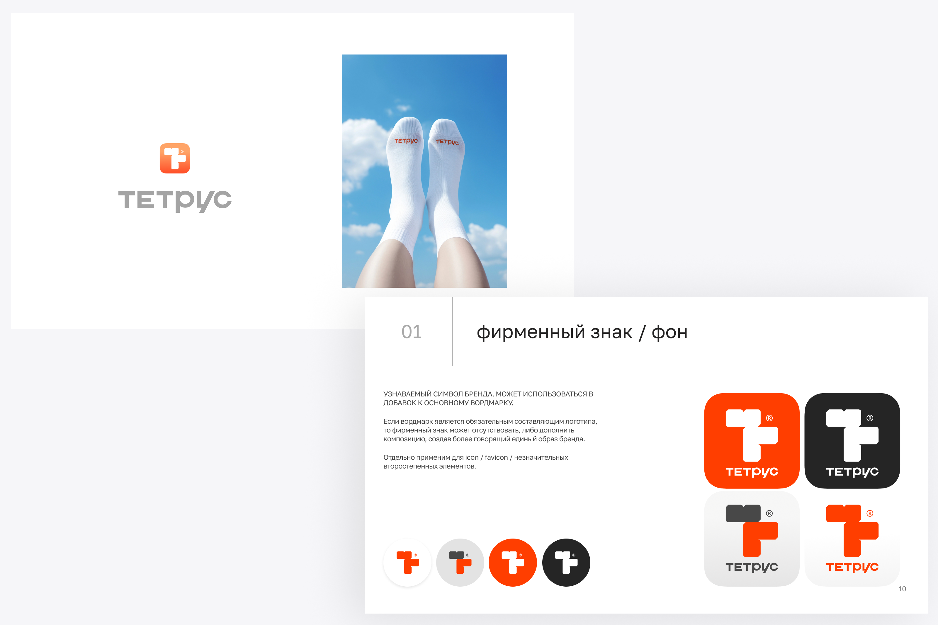 Разработка логотипа  для компании Тетрус — Изображение №6 — Брендинг на Dprofile