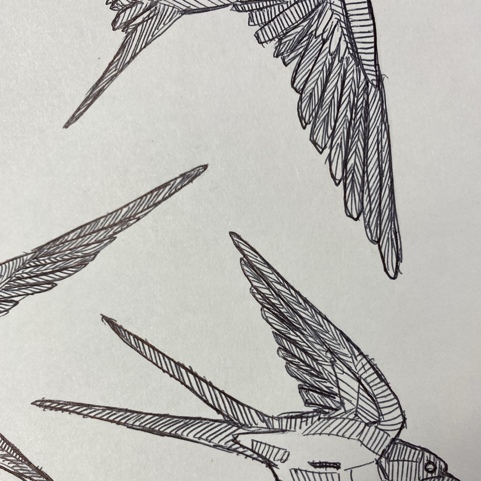 Черноголовка. Научная проекция. — Изображение №5 — Брендинг, Иллюстрация на Dprofile