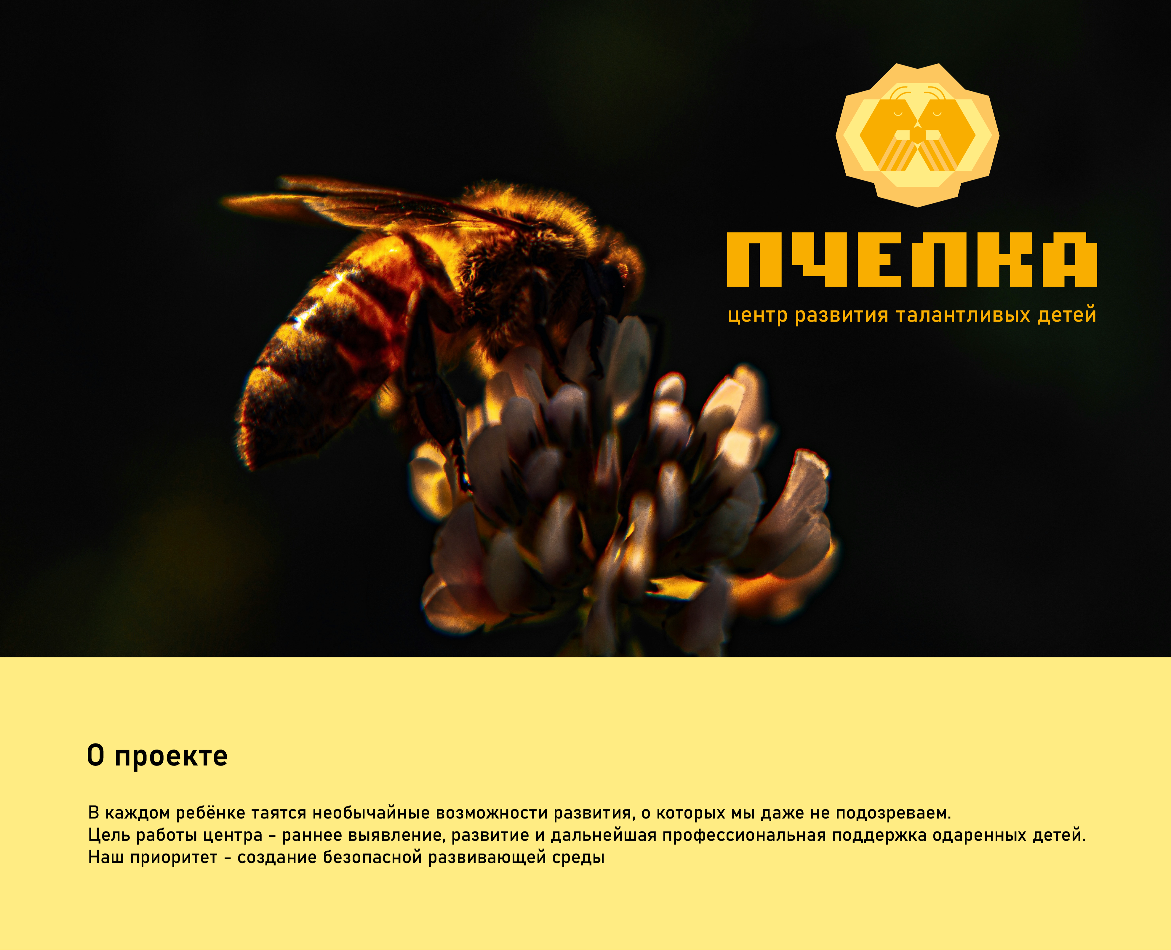 Фирменный стиль для центра развития "Пчёлка" — Графика, Маркетинг на Dprofile