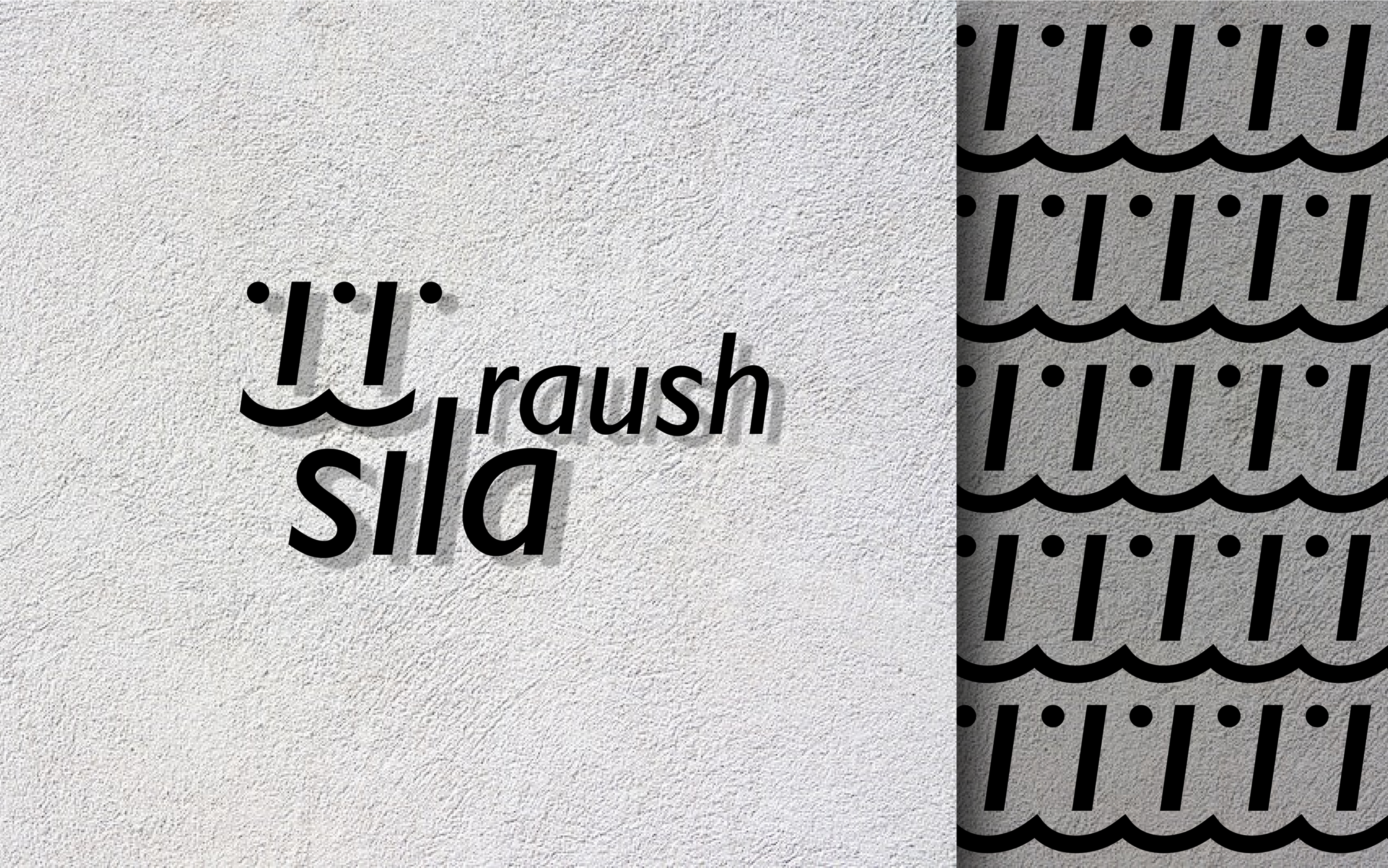 Sila Raush 2023 — Изображение №11 — Брендинг на Dprofile