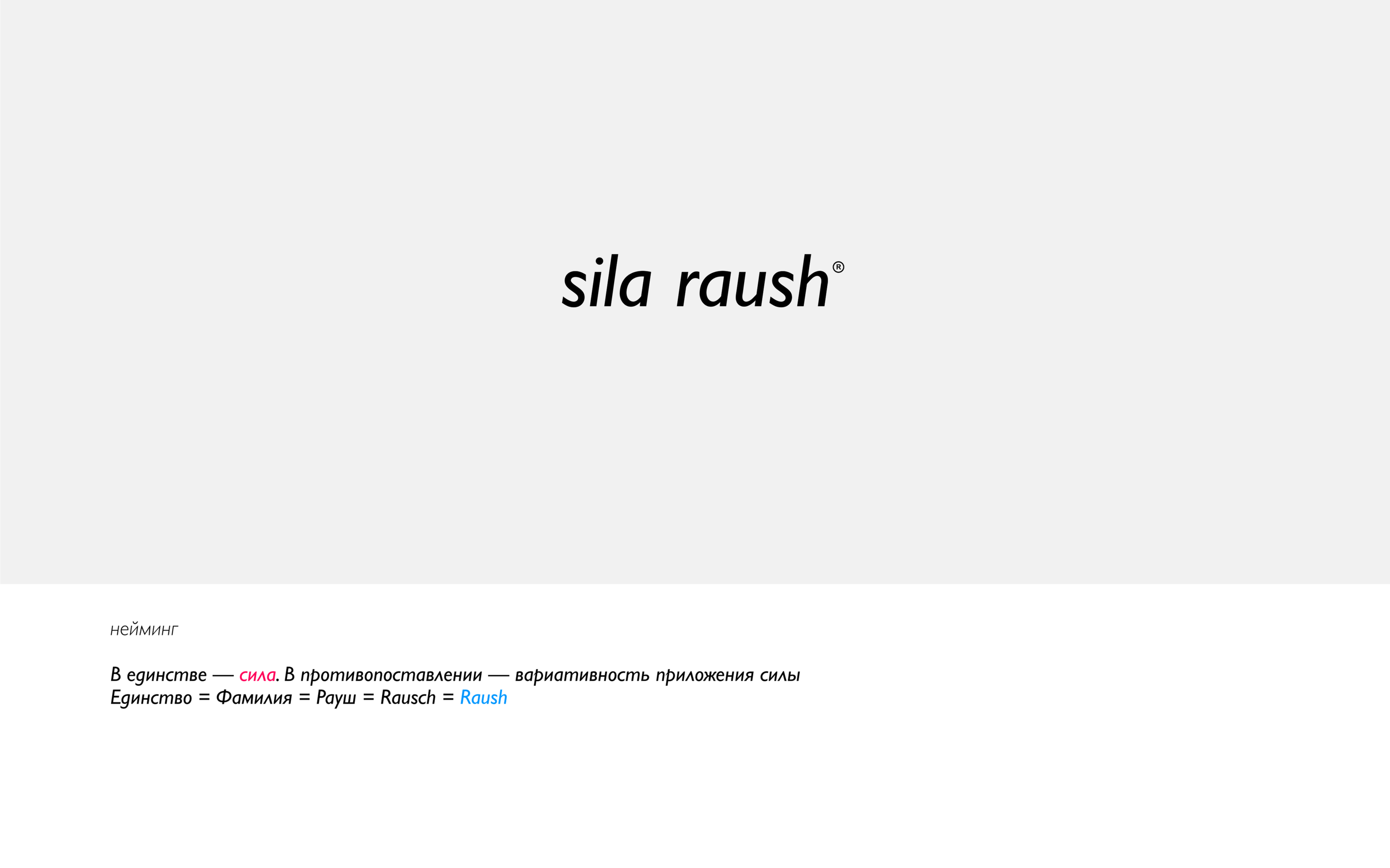 Sila Raush 2023 — Изображение №4 — Брендинг на Dprofile