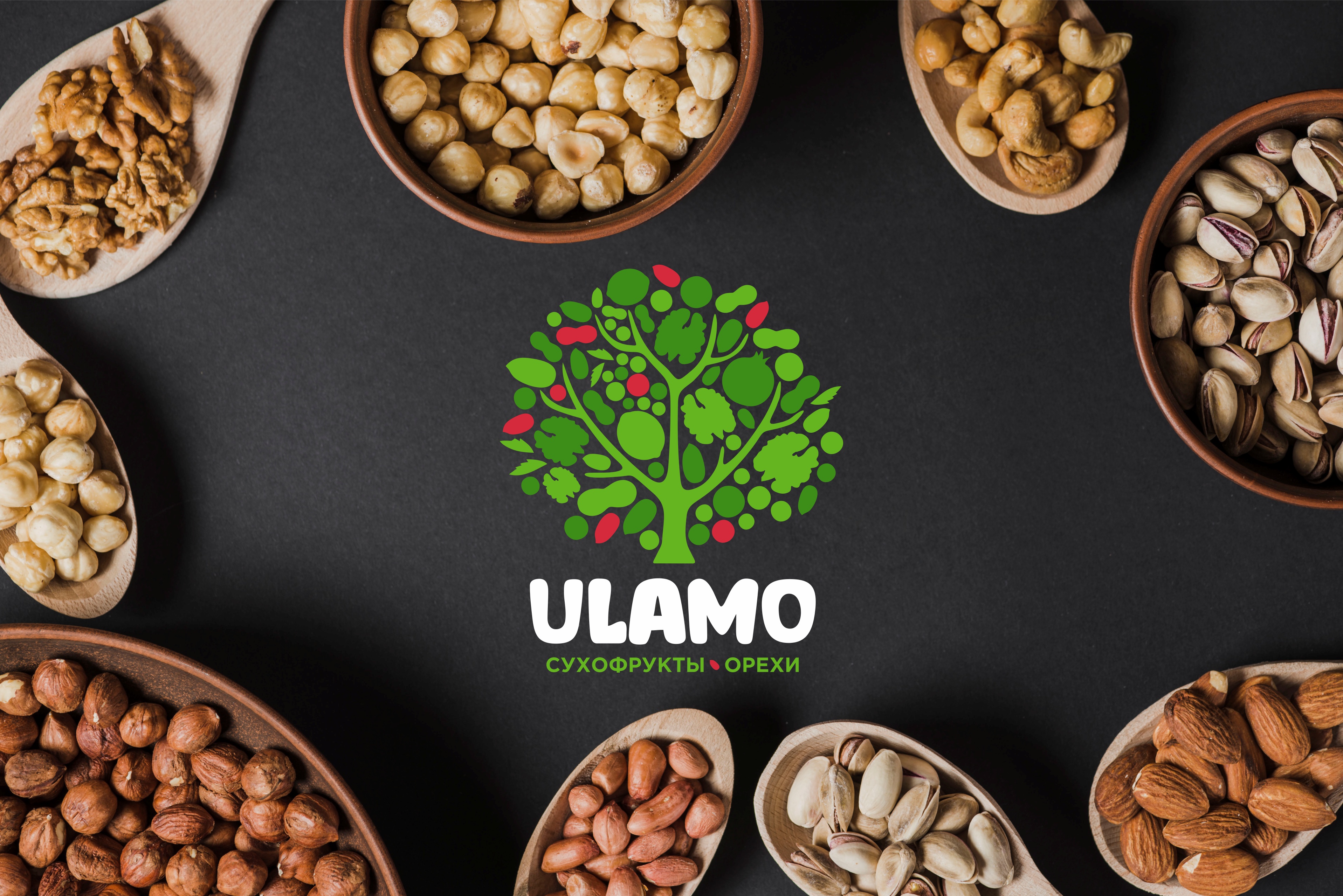 ULAMO│айдентика — Изображение №14 — Брендинг на Dprofile