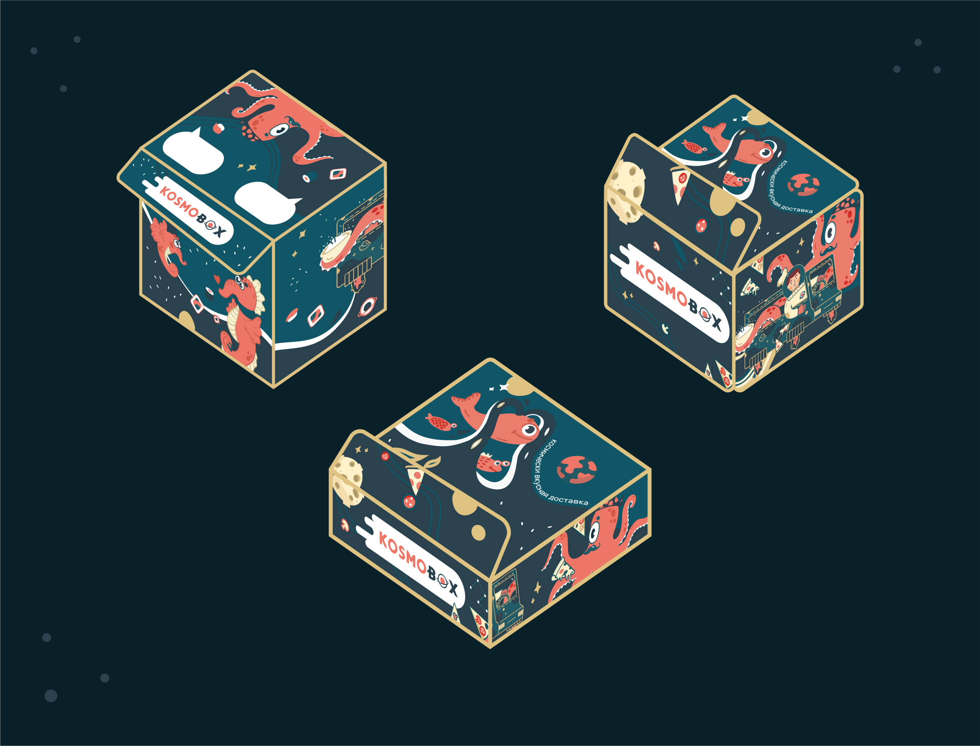 Ребрендинг | KOSMOBOX — Изображение №10 — Брендинг, Иллюстрация на Dprofile
