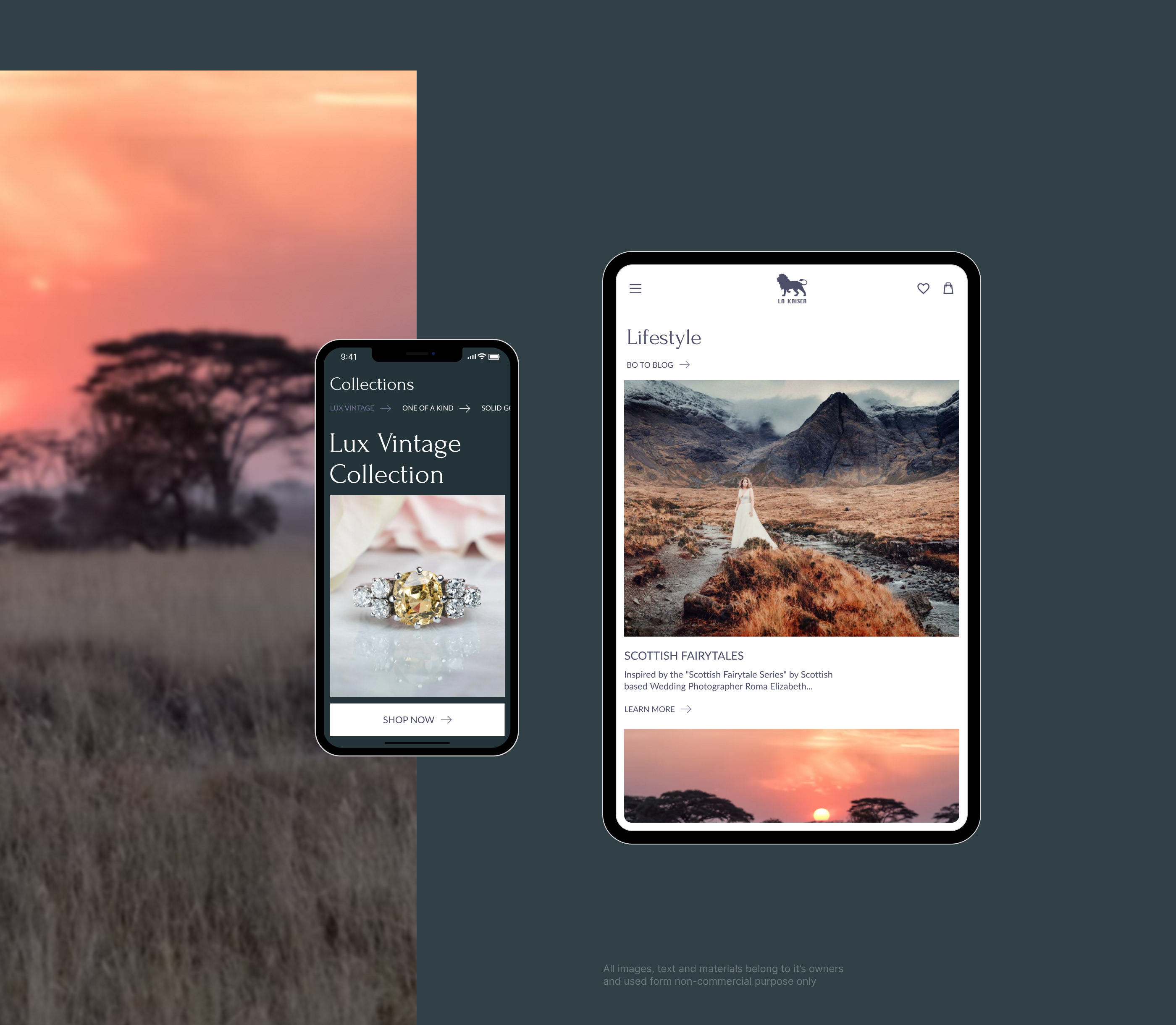 La Kaiser — Изображение №7 — Интерфейсы на Dprofile