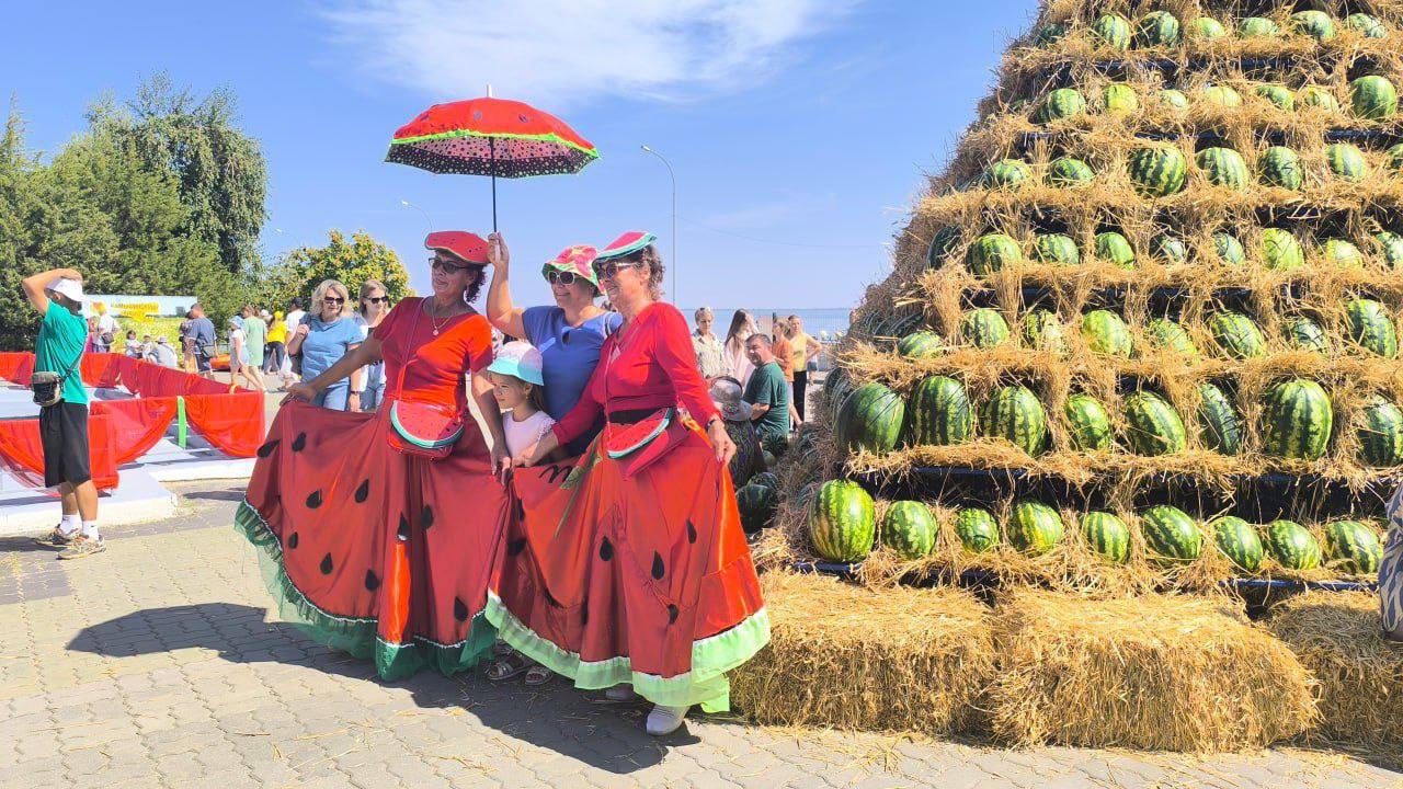 Камышинский Арбузный фестиваль 2024. Айдентика — Изображение №32 — Брендинг, Иллюстрация на Dprofile