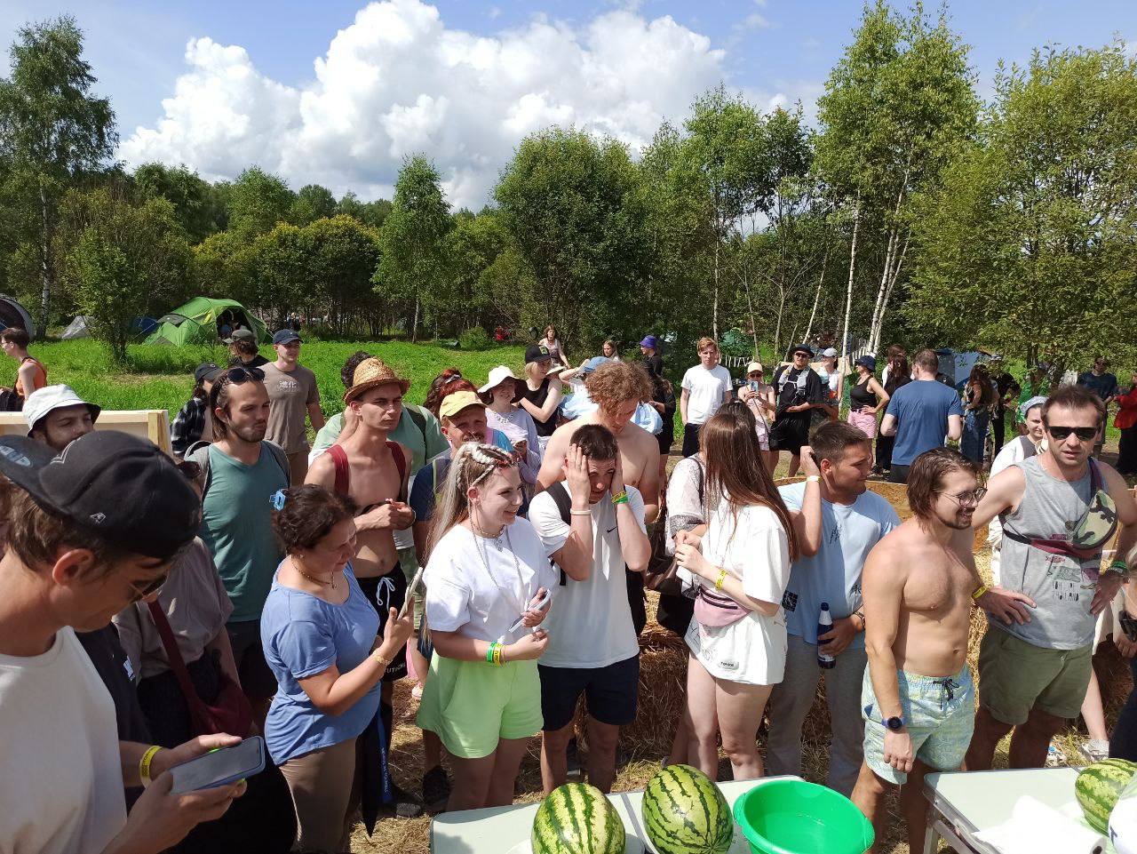 Камышинский Арбузный фестиваль 2024. Айдентика — Изображение №28 — Брендинг, Иллюстрация на Dprofile