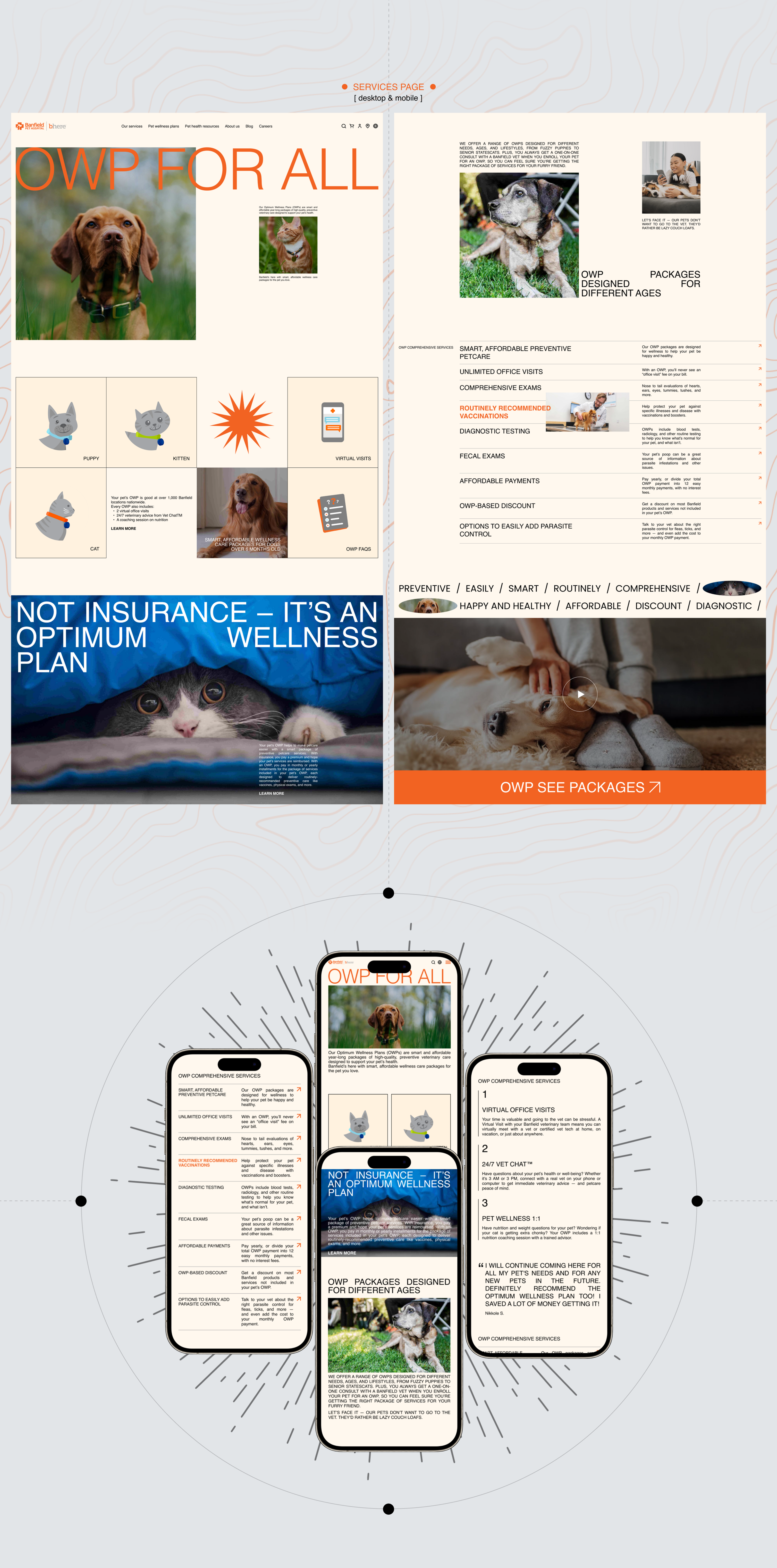 BANFIELD | Corporate website redesign — Изображение №4 — Интерфейсы, Брендинг на Dprofile