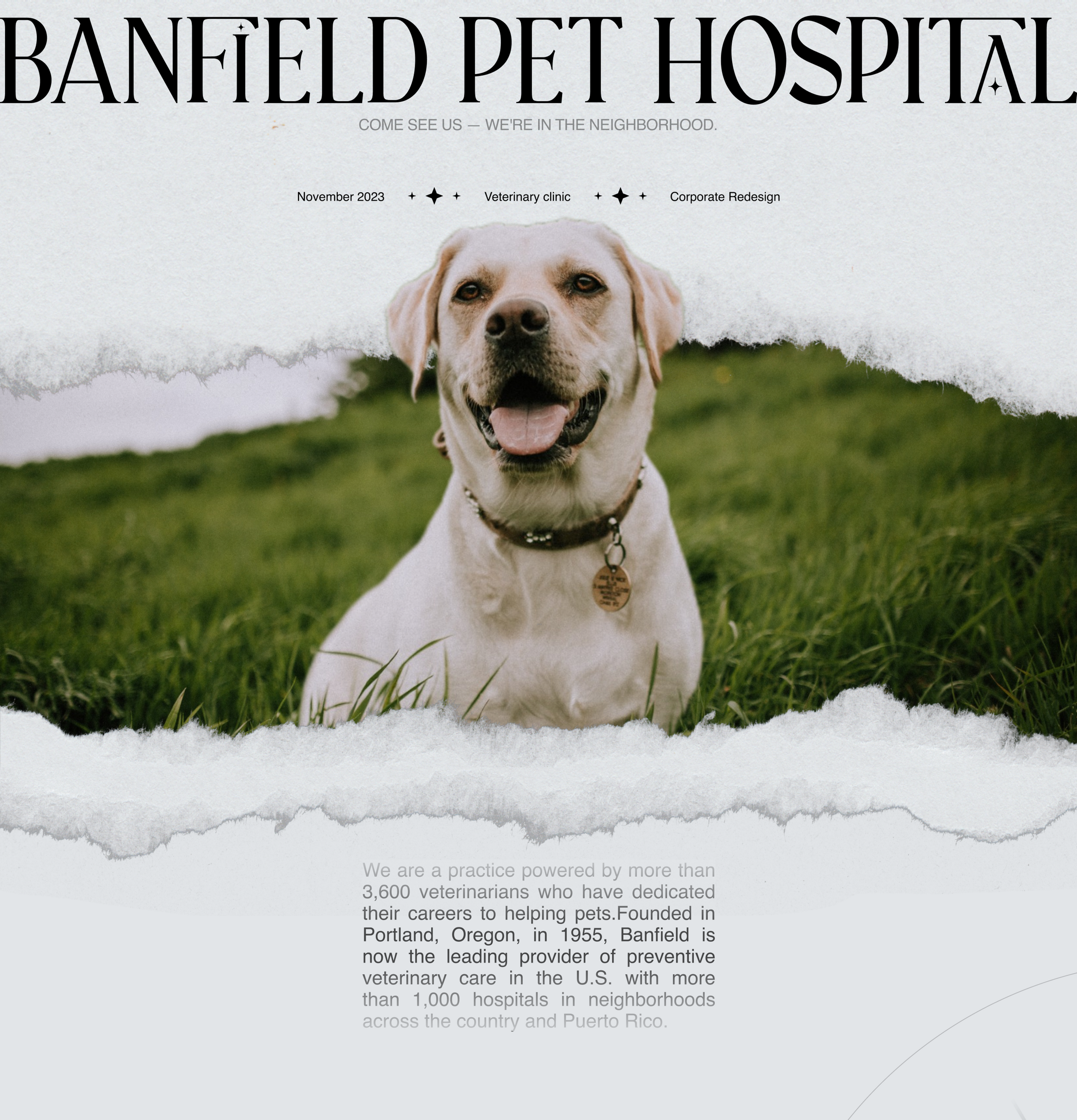 BANFIELD | Corporate website redesign — Изображение №1 — Интерфейсы, Брендинг на Dprofile
