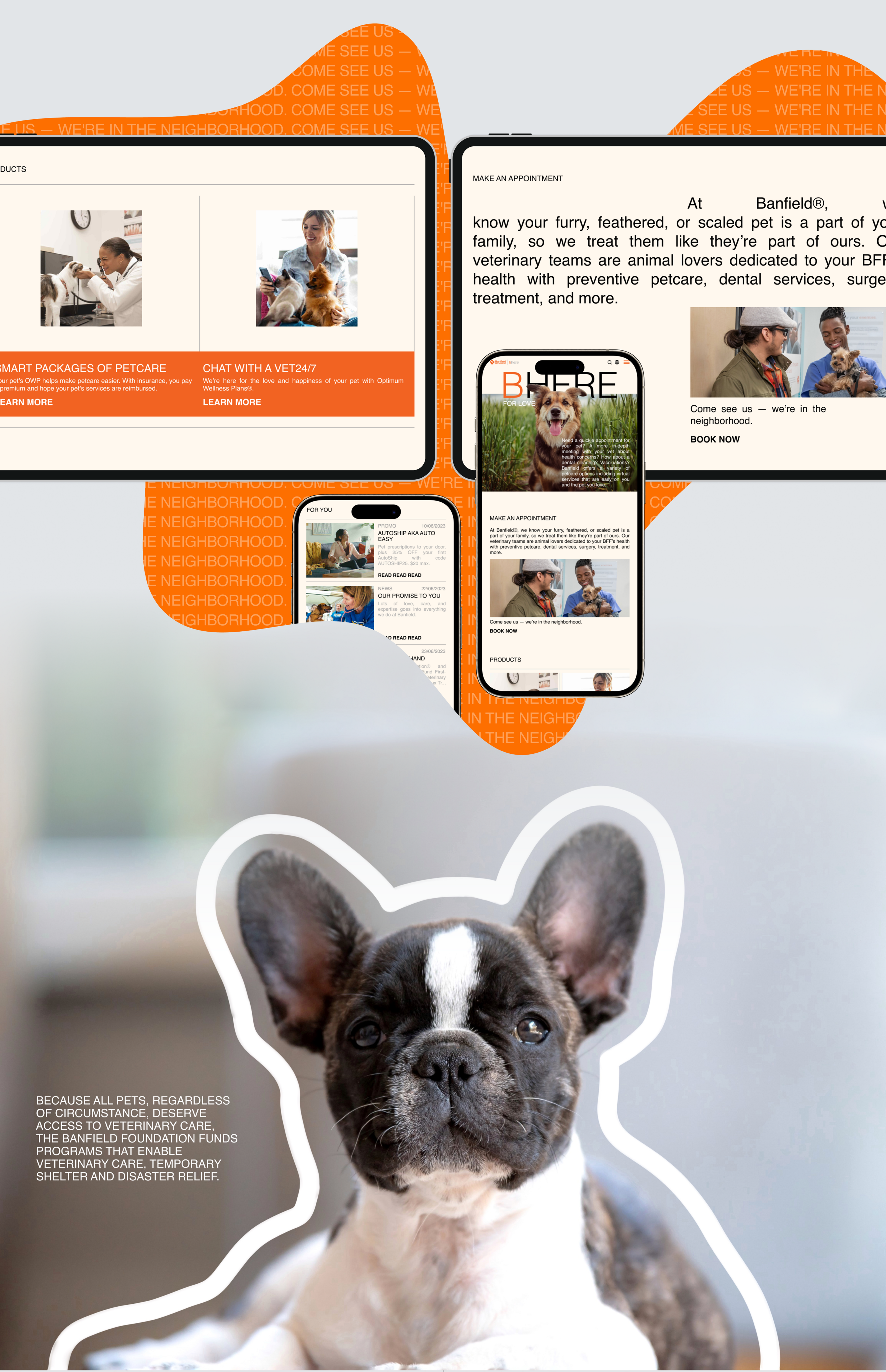 BANFIELD | Corporate website redesign — Изображение №3 — Интерфейсы, Брендинг на Dprofile